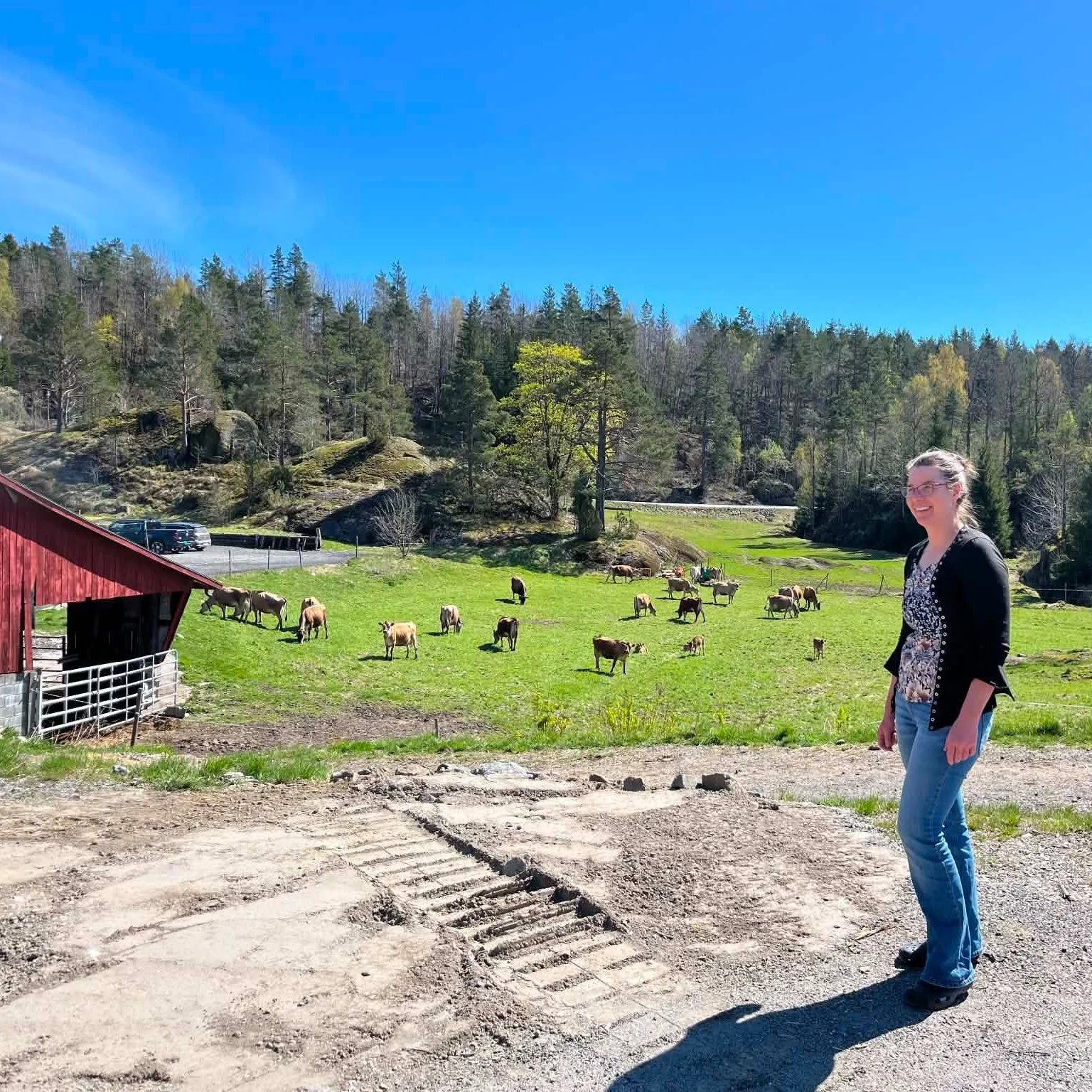 Budveven for et vakkert ord! 👩&zwj;🌾🌱
Jeg ser for meg hvordan budeiene vever vakre kulturlandskaper 
rundt i landet 
fra hver sine marker der dyrene beiter frem 
det vakre kulturlandskapet.

Budeieveven er navnet p&aring; nettverket for seterdrift