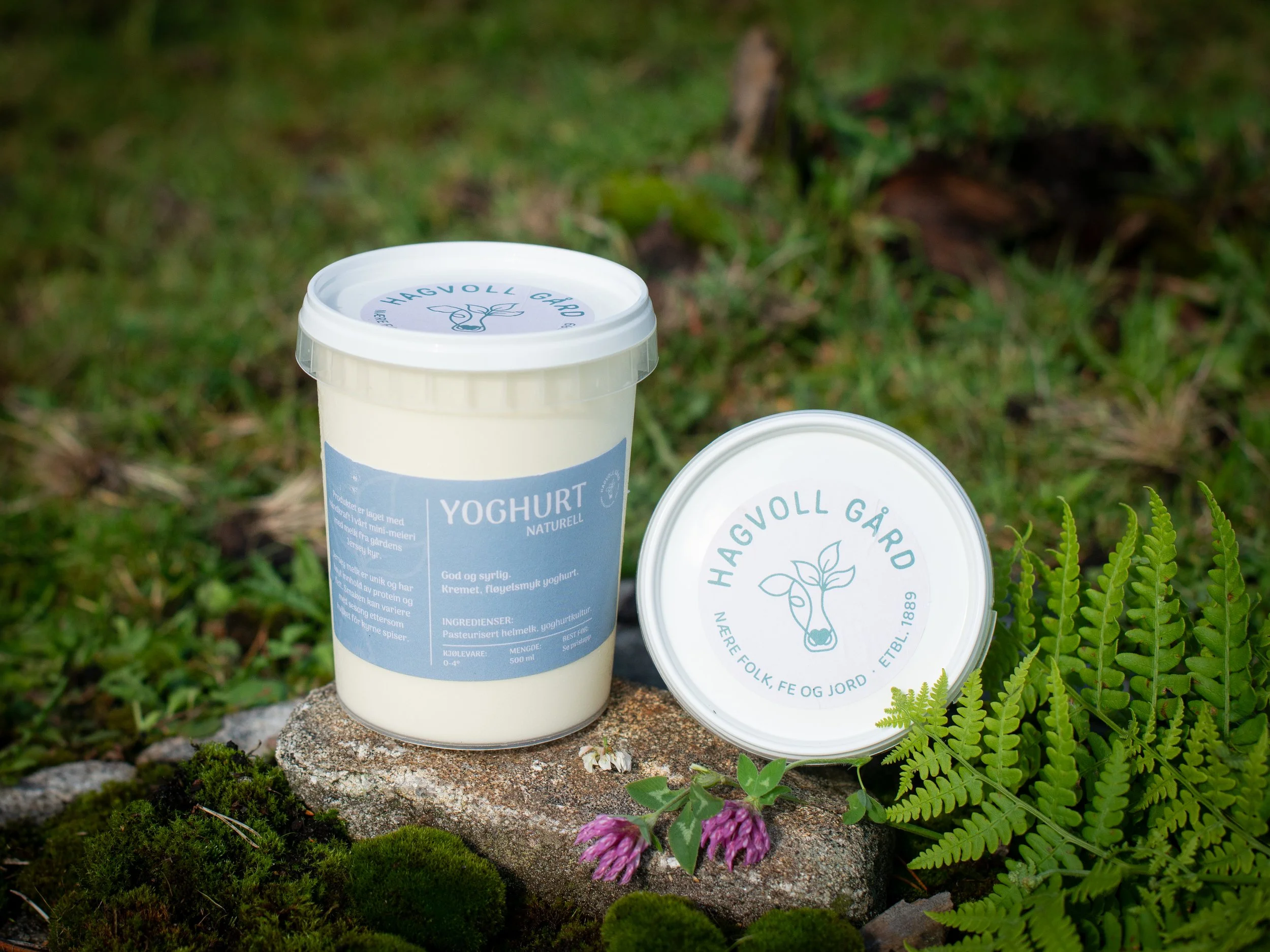 Yoghurt naturell. God og syrlig. Kremet og fløyelsmyk.