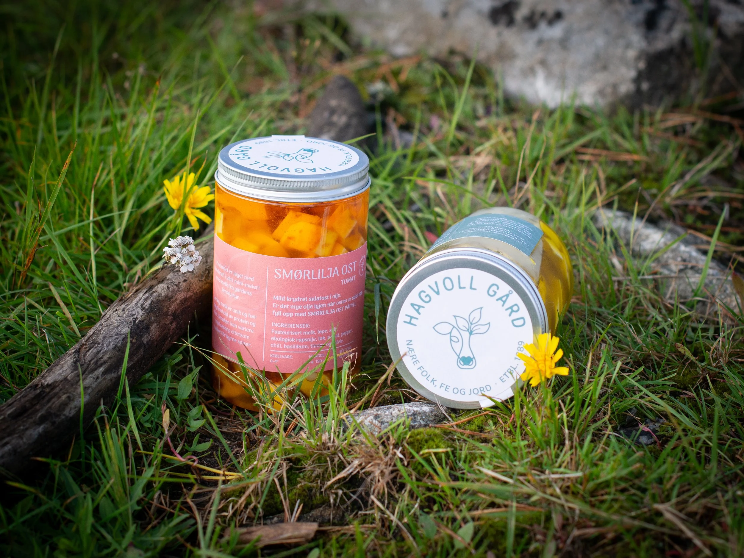 To glasskrukker med ost, plassert på gress med blomster og liten trepinne.