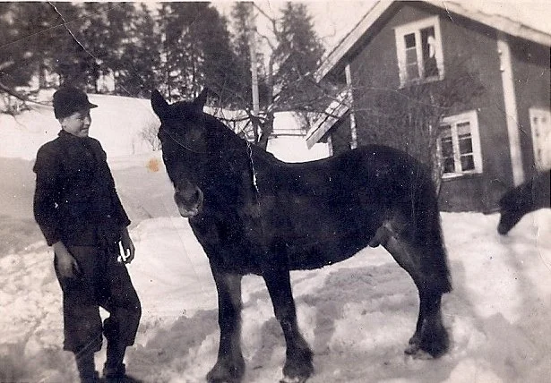 Gårdshistorie fra gården