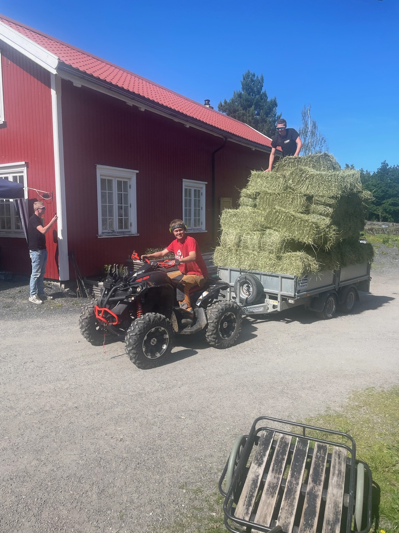 Vetle, den gode hjelperen på gården.