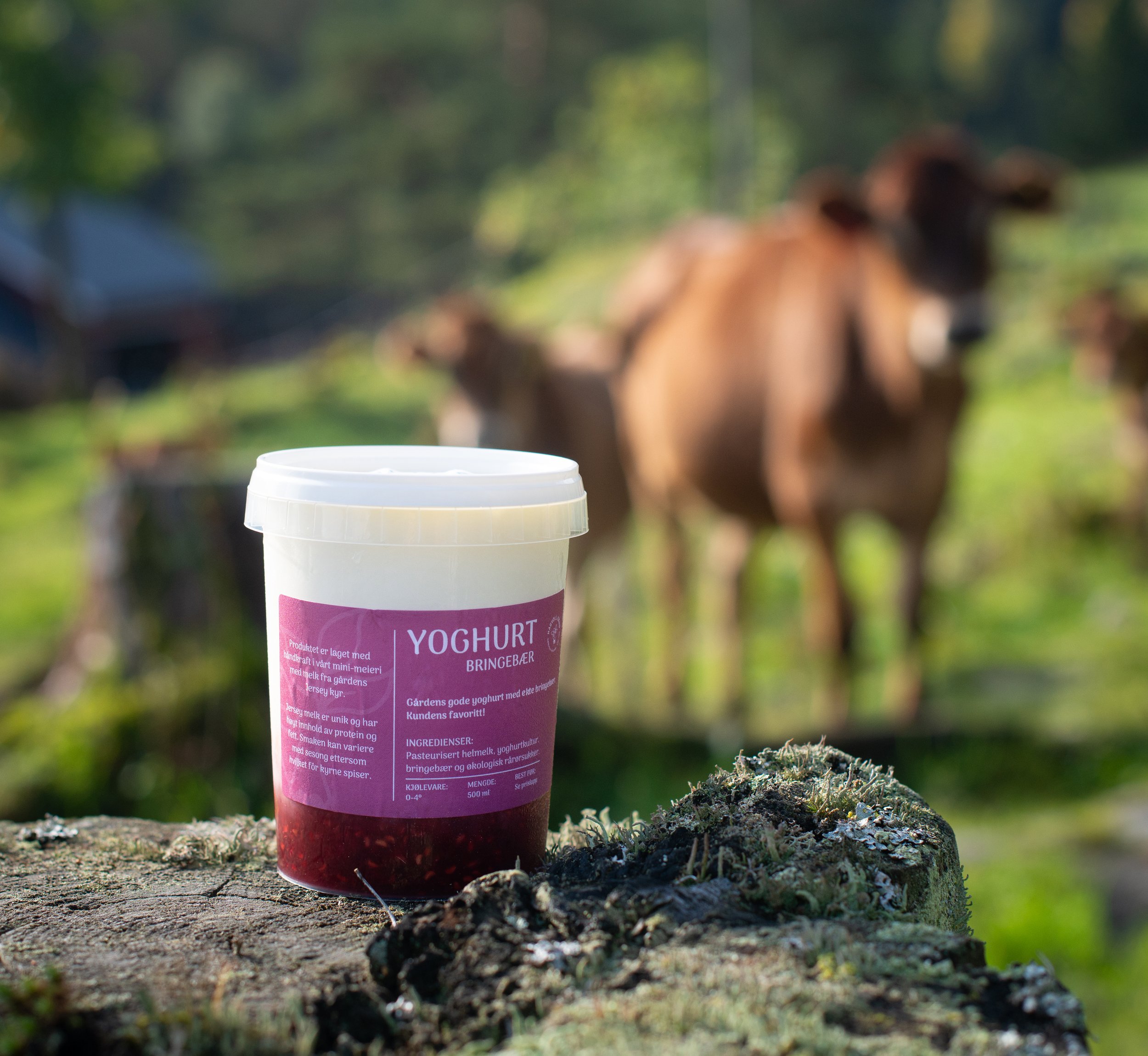 Bringebær yoghurt. Kundens favoritt!