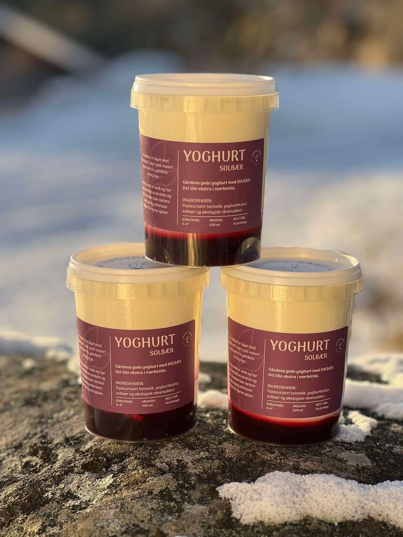 Yoghurt solbær. Fyldig og god også som dessert.