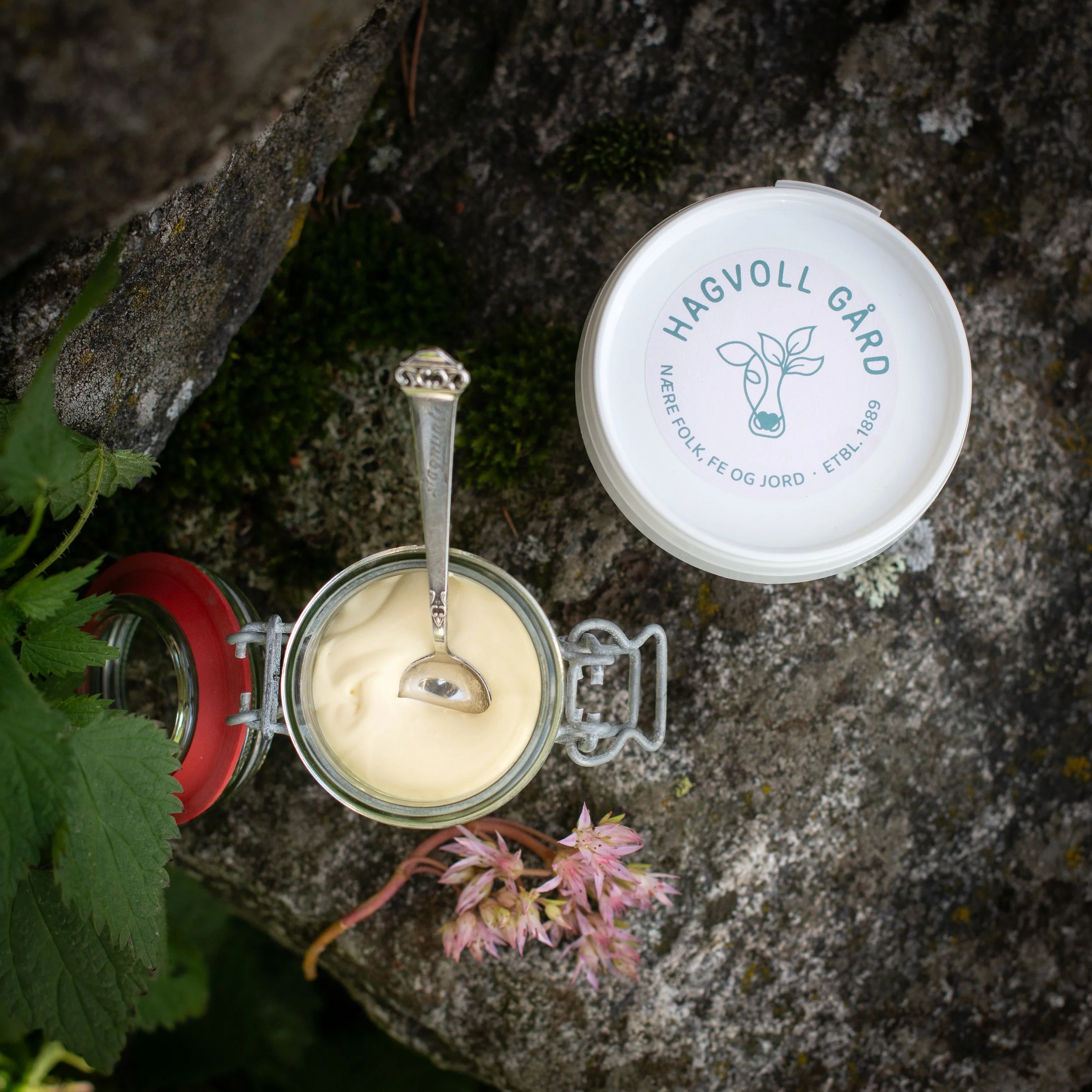 Kremostet i en liten glasskrukke med metallhekte, omgitt av grønne blader, ett rosa blomster og en bakkestein.