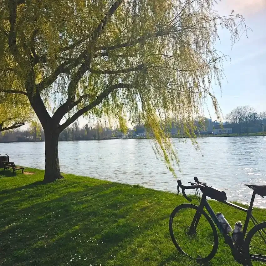 A bicycle by a beautiful tree in the French countryside.