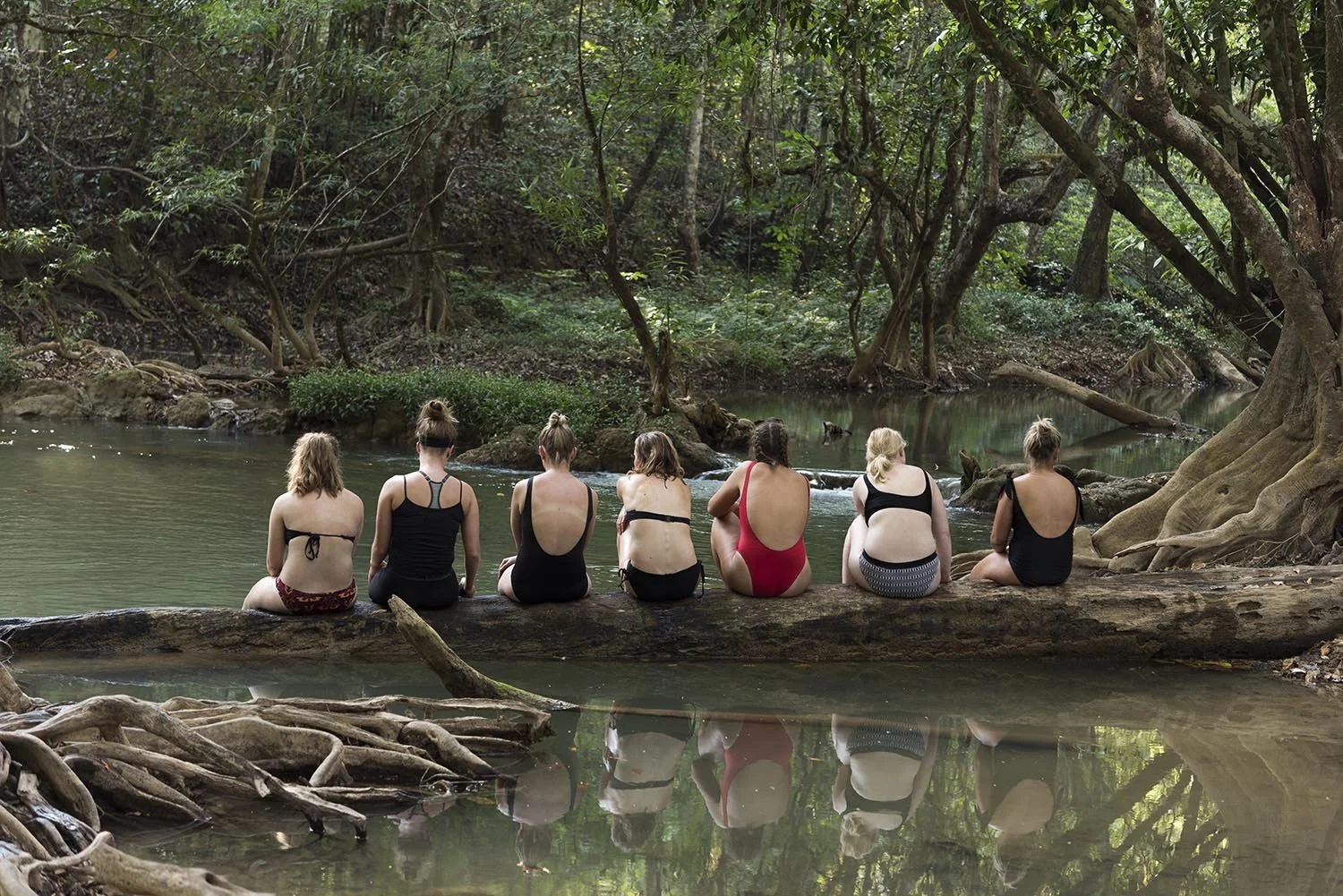 Seven women sitting on a log by a river in a wooded area, facing away from the camera.