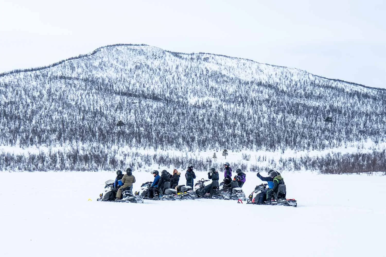 Group of people riding snowmobiles in a snowy landscape with snow-covered mountains and trees in the background.