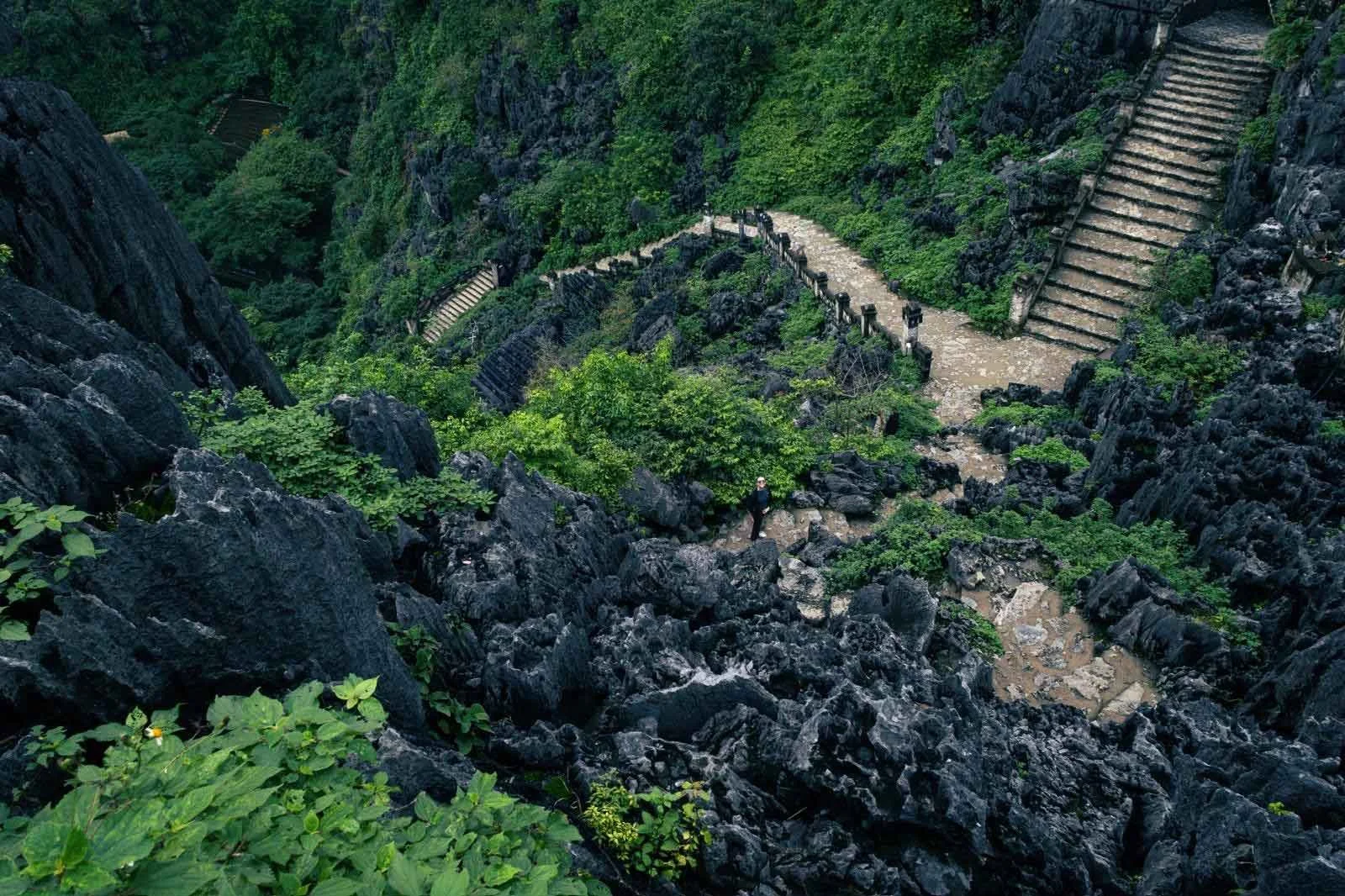 A person standing on rocky terrain surrounded by lush green foliage on a steep mountainside. There are stone stairs nearby and a pathway winding through the landscape.