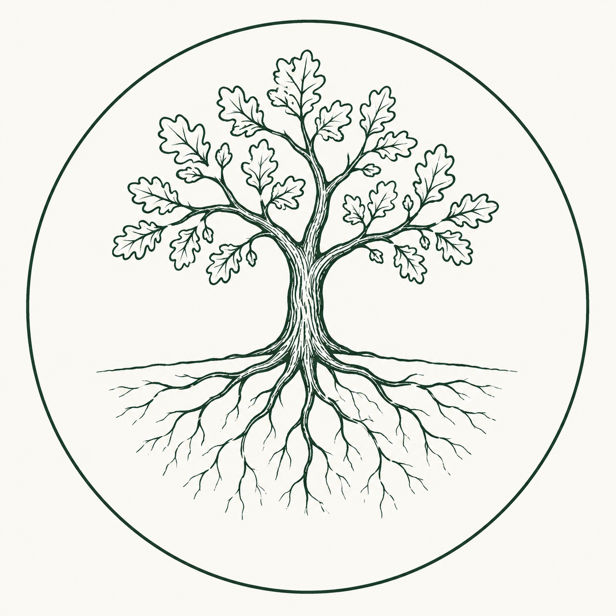 A line drawing of a tree with roots, inside a circle outline.