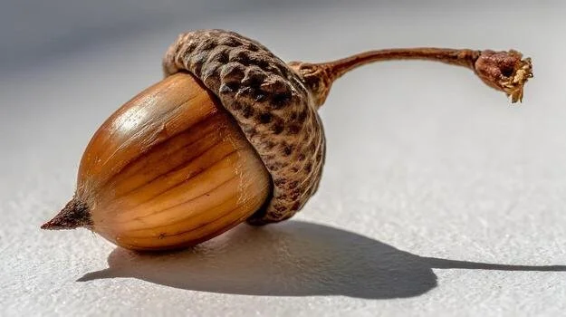 Initial Coaching Consultation