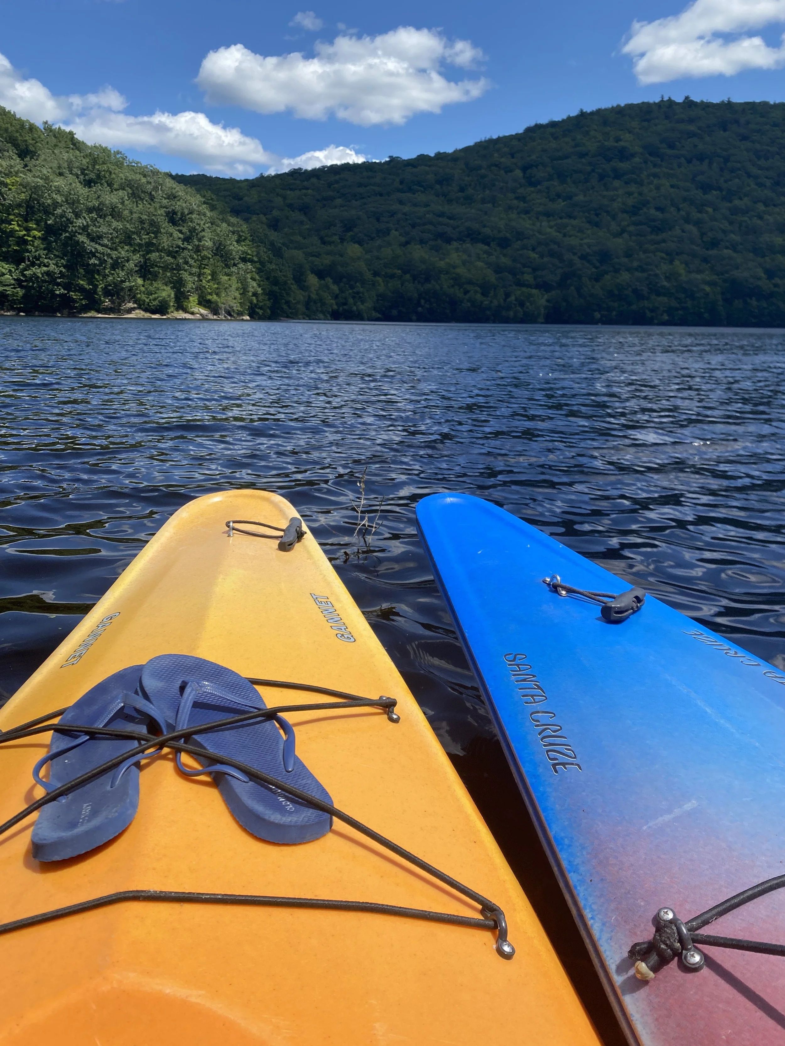 Start your journey today with Coach Mary Lawhorn, NBC-HWC at Be Well Coaching.