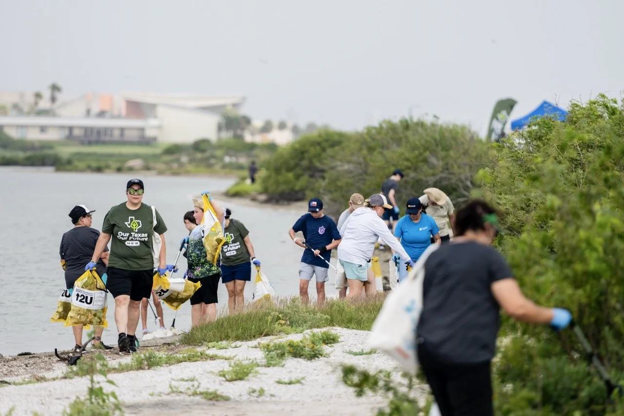 20250517_CBBEP-CoastalCleanUp-2589 Large.jpeg