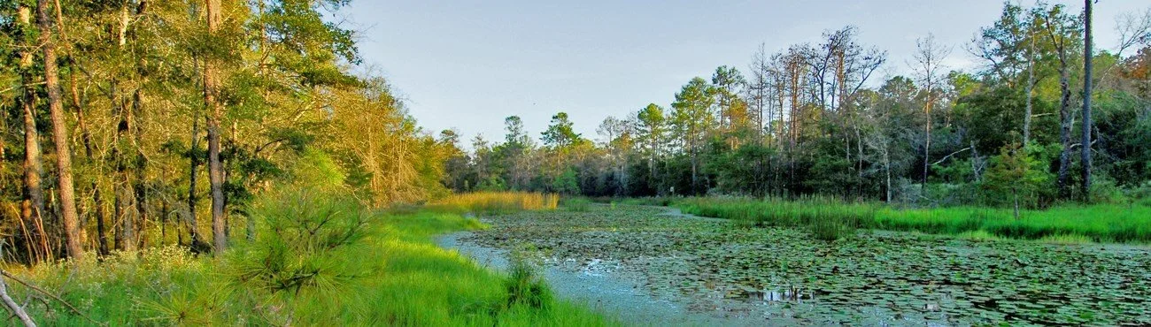 Greens Bayou Coalition