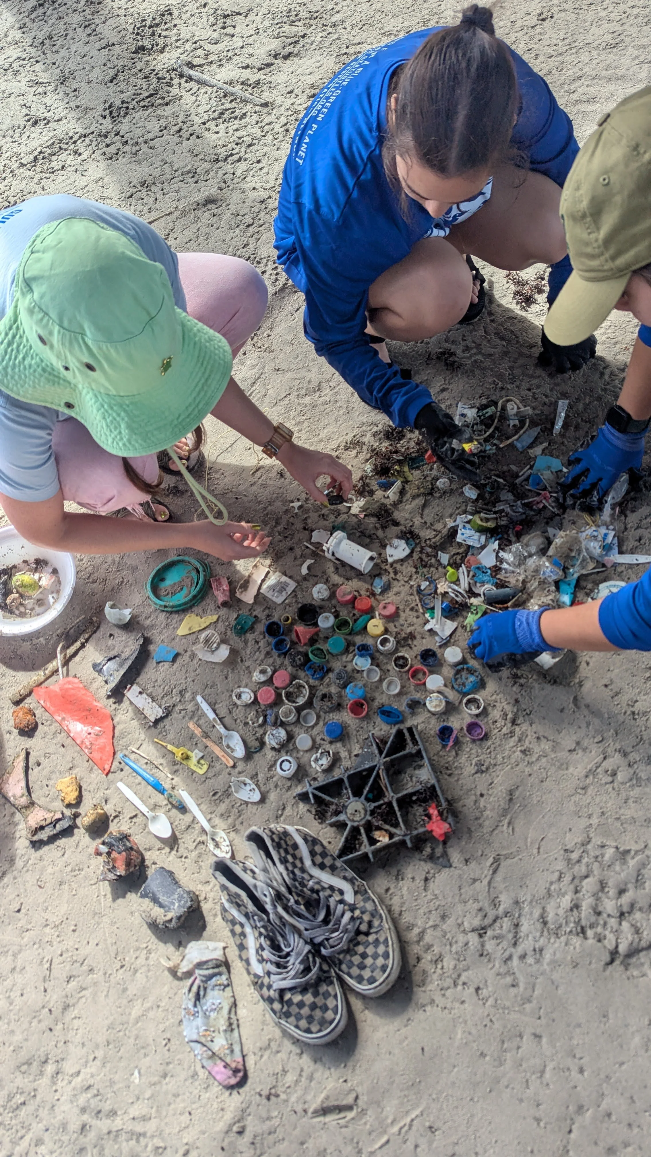 Turtle Island Restoration Network