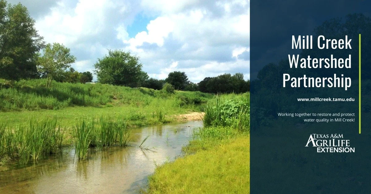 Mill Creek Watershed Partnership &amp; Gideon Lincecum Chapter, Texas Master Naturalist Program