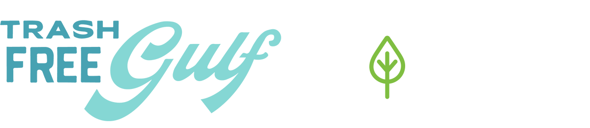 Illustration showing two types of hospital beds, standard and adjustable, with labels and a diagram of bed features.