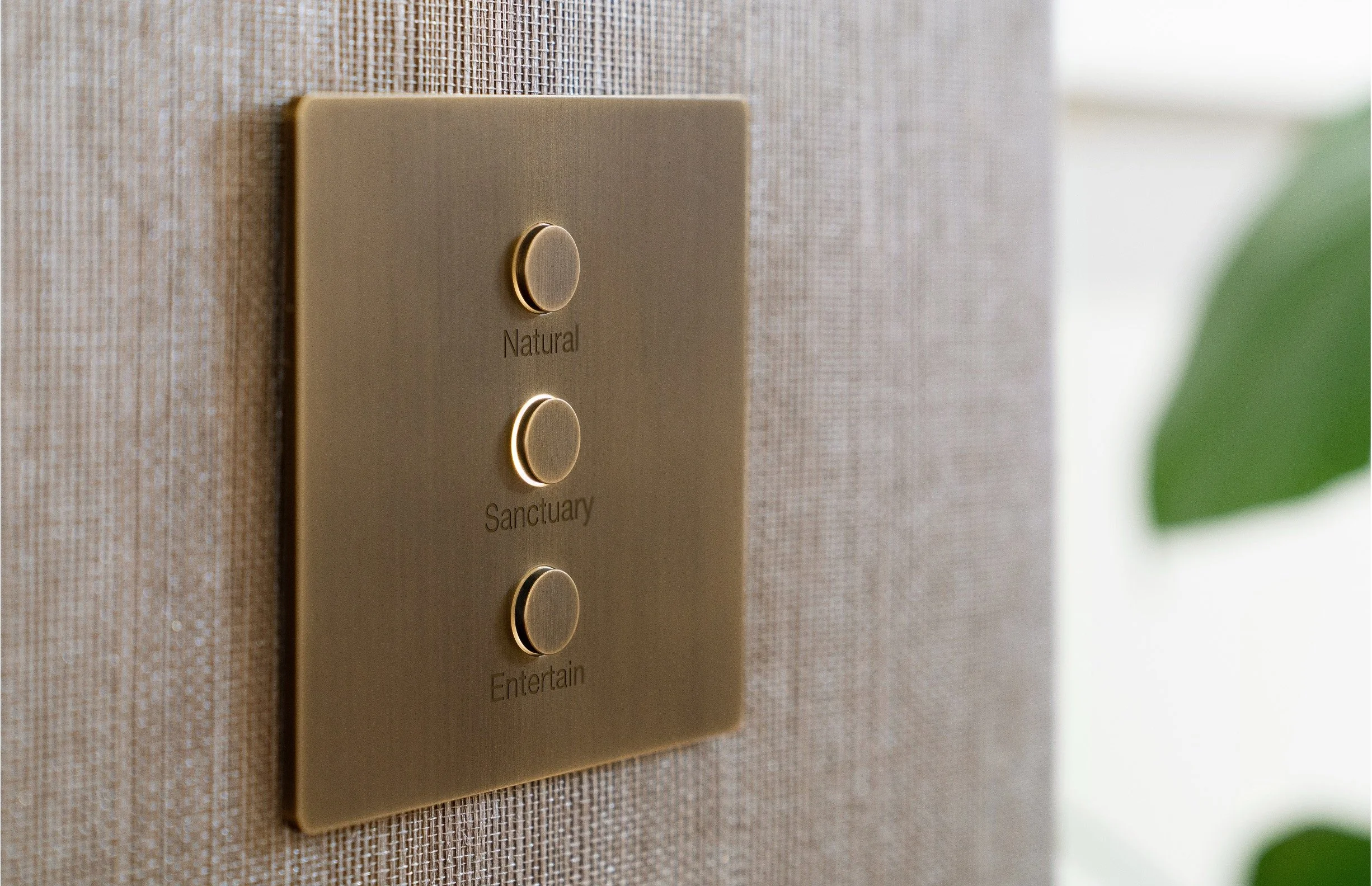 Alisse Natural Wall.jpg