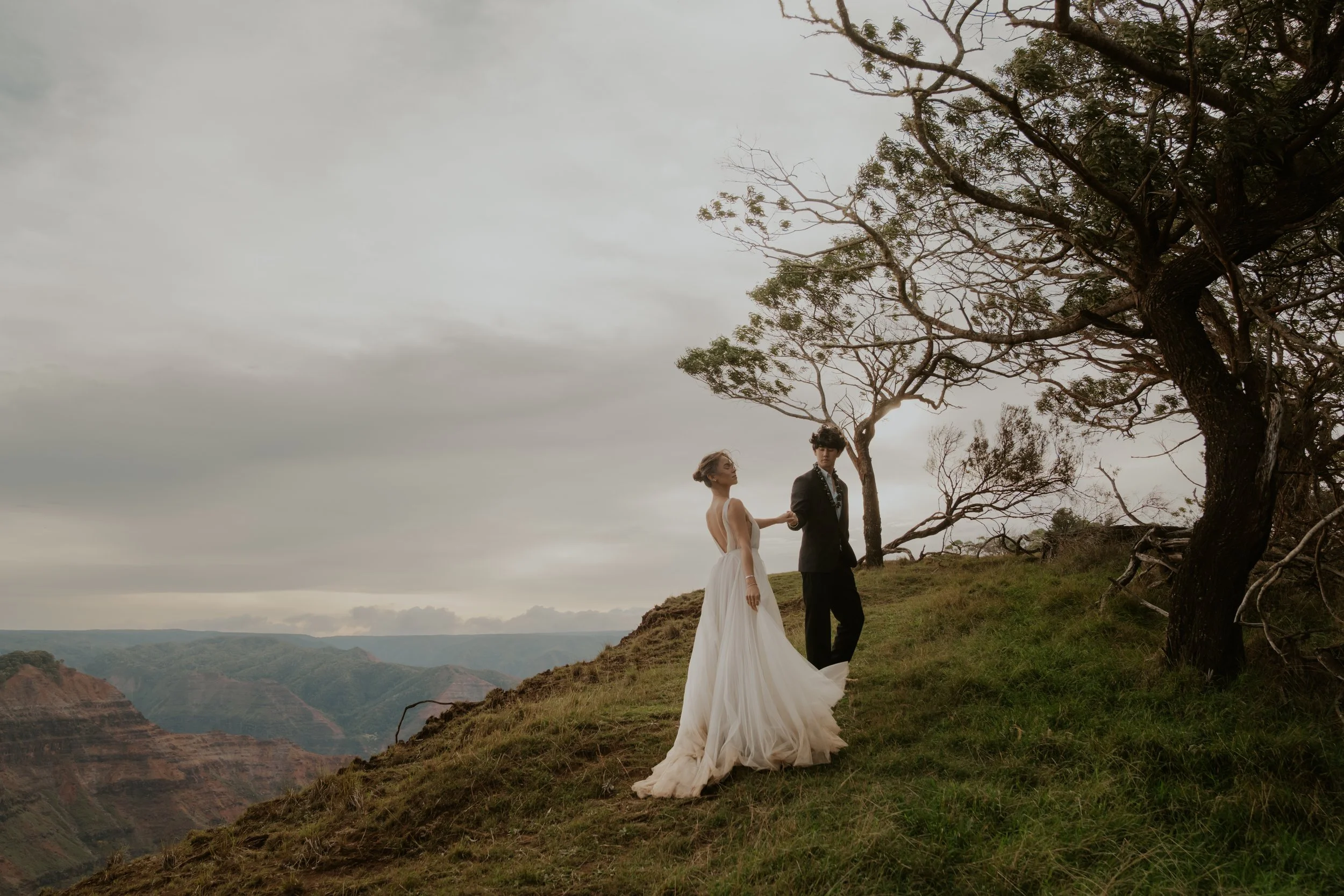 A bride in a white wedding dress and a groom in a black suit standing on a grassy hill with a scenic canyon in the background and a leafless tree to their right under a cloudy sky.