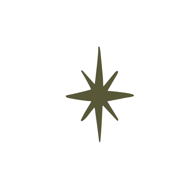 A stylized compass rose with eight points in dark olive green on a black background.
