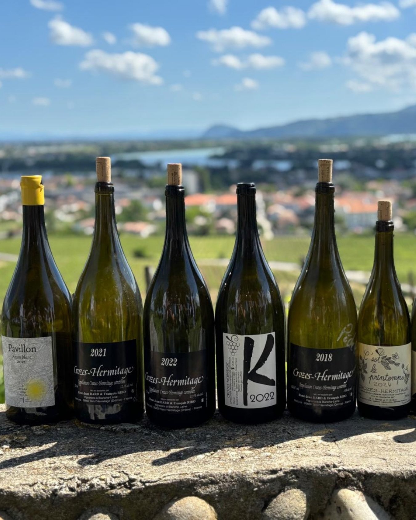 Quand on s&rsquo;&eacute;loigne un peu de la Bourgogne&hellip;

Une belle d&eacute;gustation de Crozes-Hermitage, au coeur du vignoble sur les colines de Tain-l&rsquo;Hermitage. Merci au Domaine Dard &amp; Ribo. 
La Loire s&rsquo;est elle aussi subti