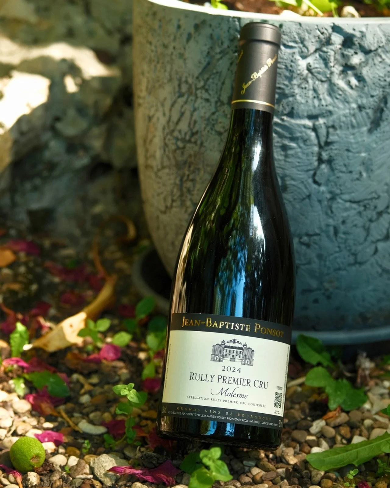 🍒 Rully 1er Cru &laquo;&nbsp;Molesme&nbsp;&raquo; 2024 - Domaine Jean-Baptiste Ponsot.

Un Pinot Noir juteux, velout&eacute;, avec des jolies notes de fruits rouges et noirs. Une tr&egrave;s jolie bouteille avec des tanins bien int&eacute;gr&eacute;
