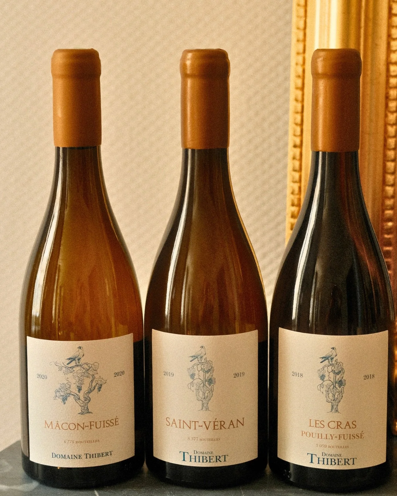 🌞 Chez AB Wine, on commence d&eacute;j&agrave; &agrave; se projeter sur les vacances.

Ap&eacute;ros au coucher du soleil, d&eacute;jeuners dans le jardin, barbecues entre amis&hellip; et forc&eacute;ment, les bonnes bouteilles qui vont avec.

Cette