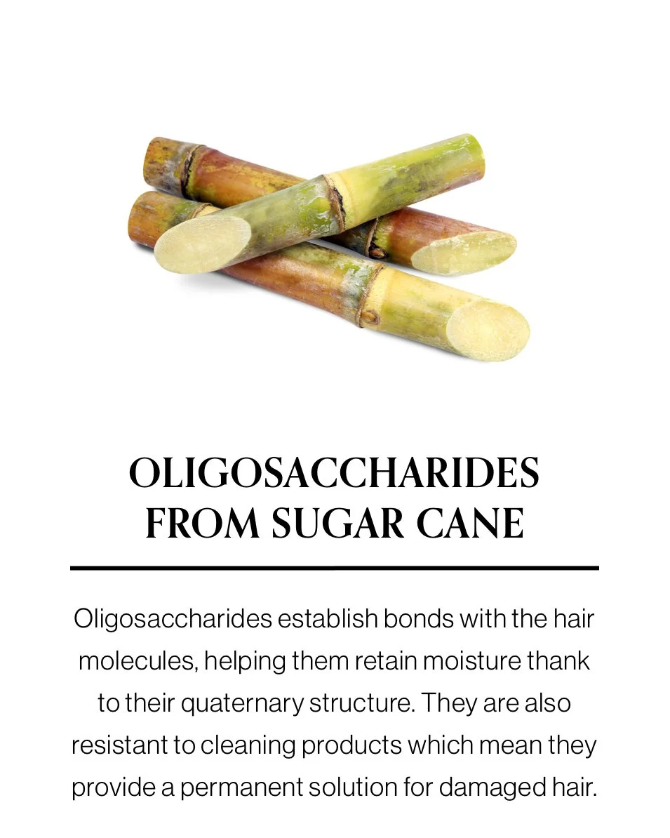 OLIGOSACCHARIDES from SUGAR CANE.jpg