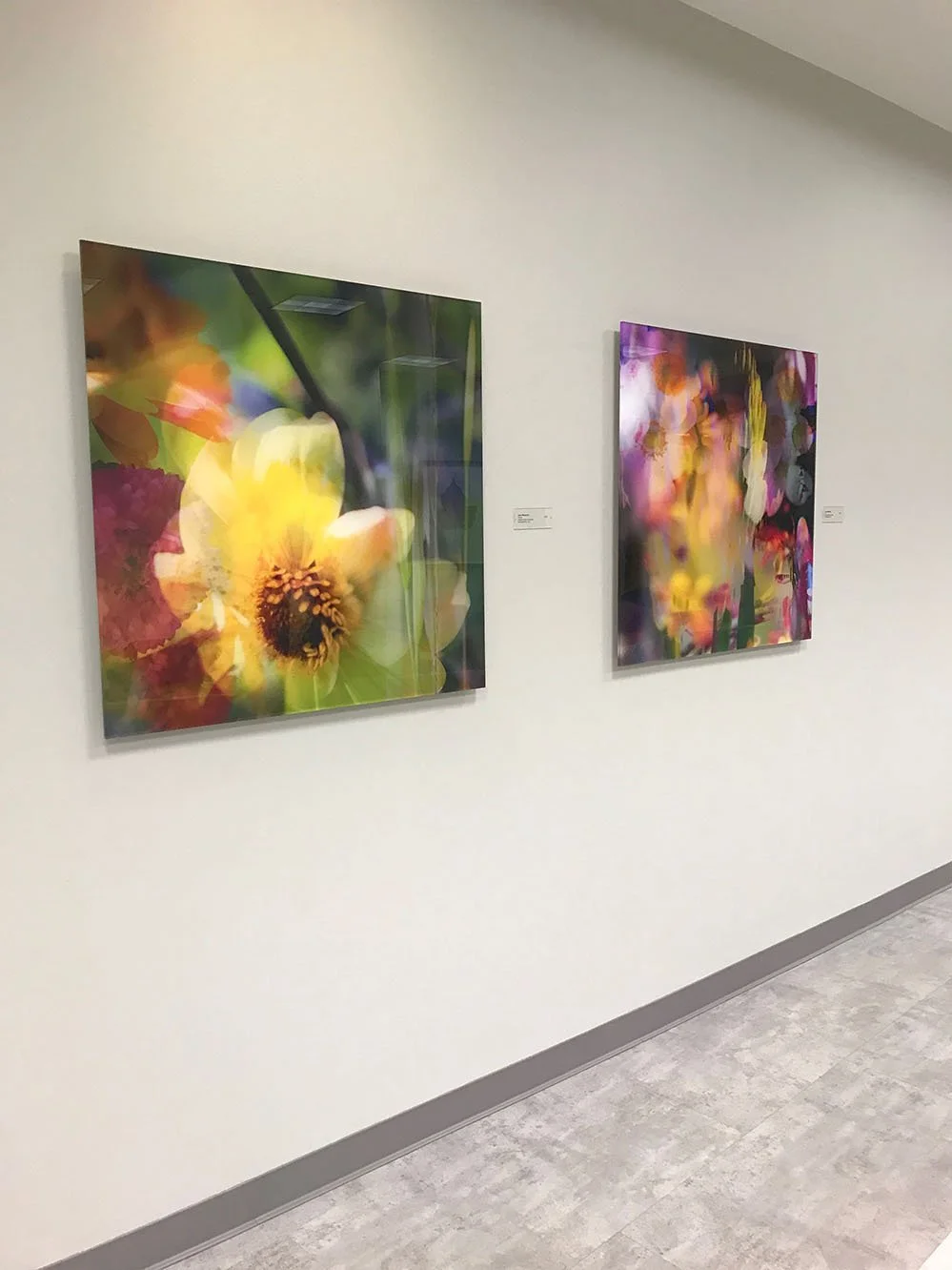 Amee, Fior, Kaiser Permanente, Folsom, California
