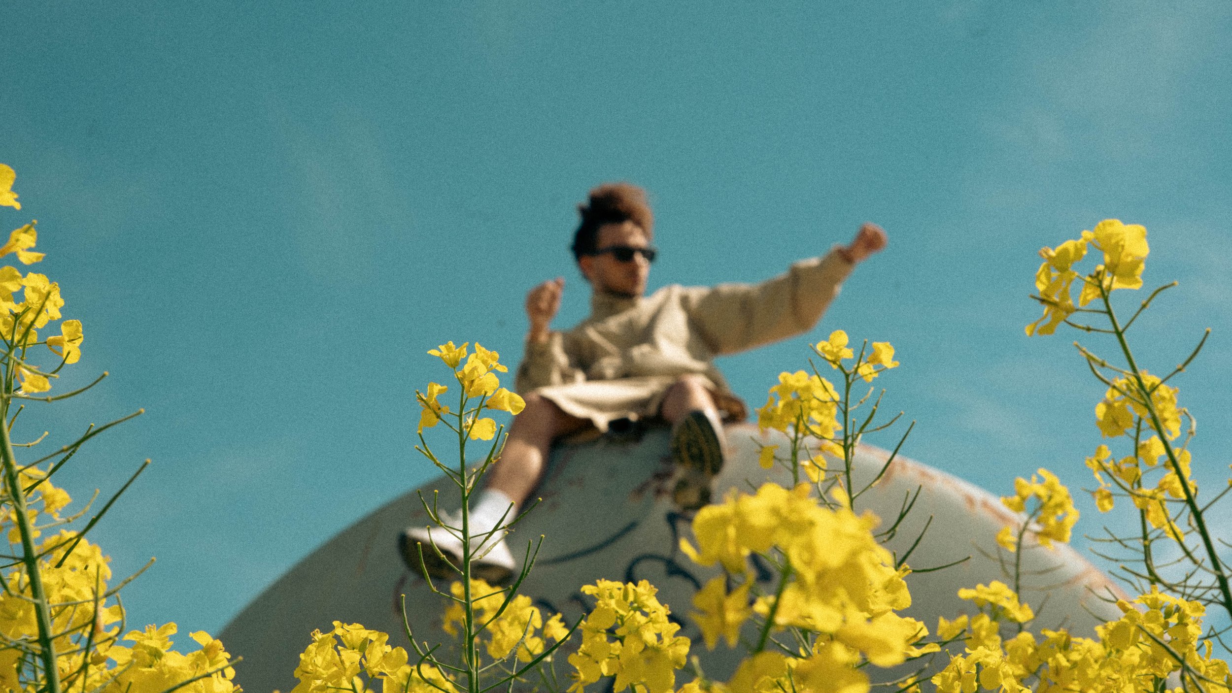 Une personne en haut d'une rame de skateboard parmi des fleurs jaunes sous un ciel bleu.