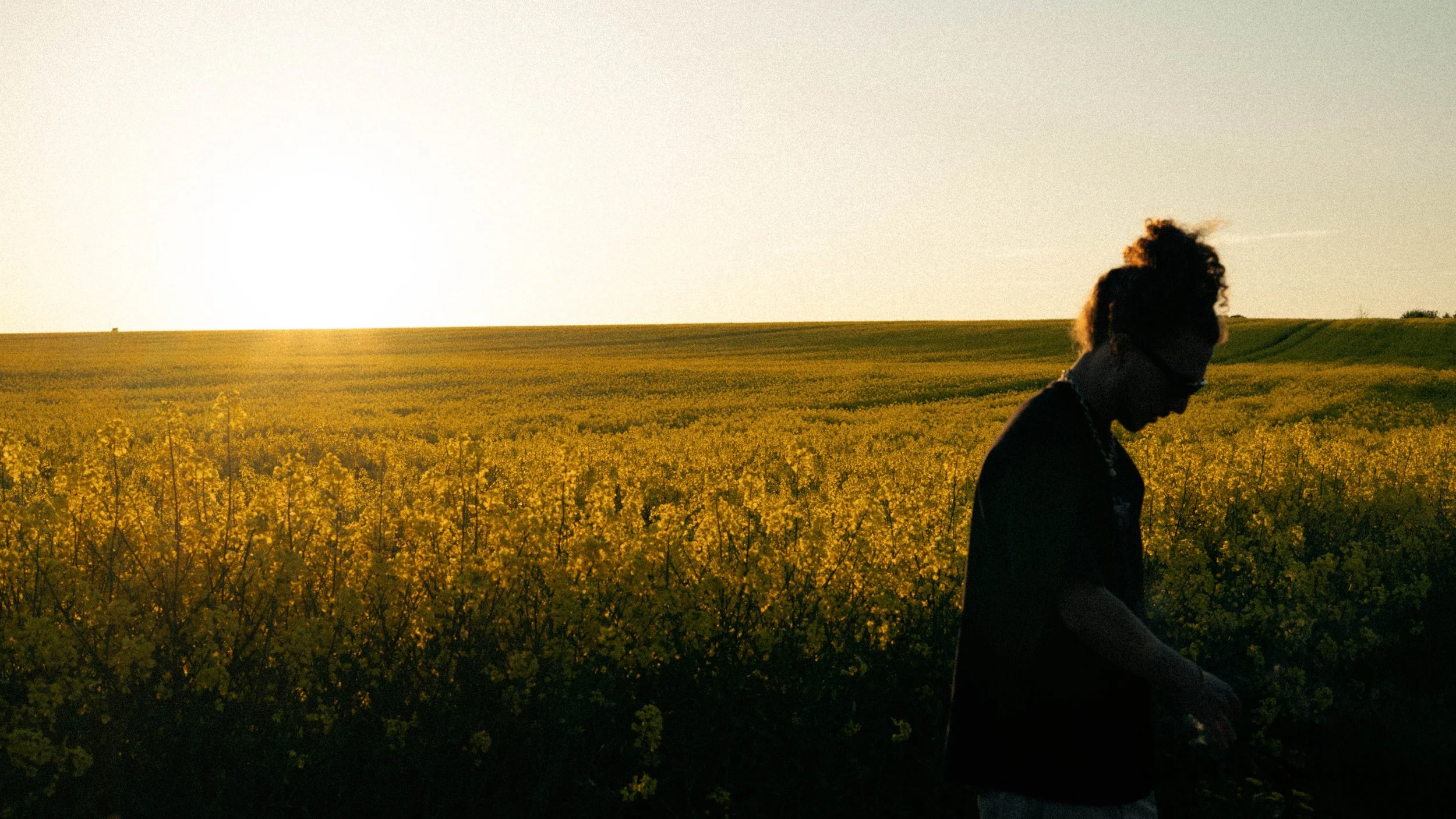Une personne avec des cheveux bouclés et une veste noire se tient dans un champ de fleurs jaunes, regardant vers le bas, au coucher du soleil.