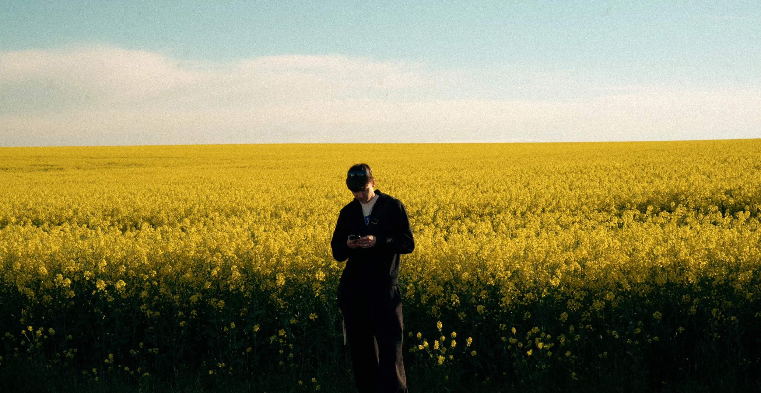Une personne regardant son téléphone dans un champ de fleurs jaunes, sous un ciel bleu avec quelques nuages.