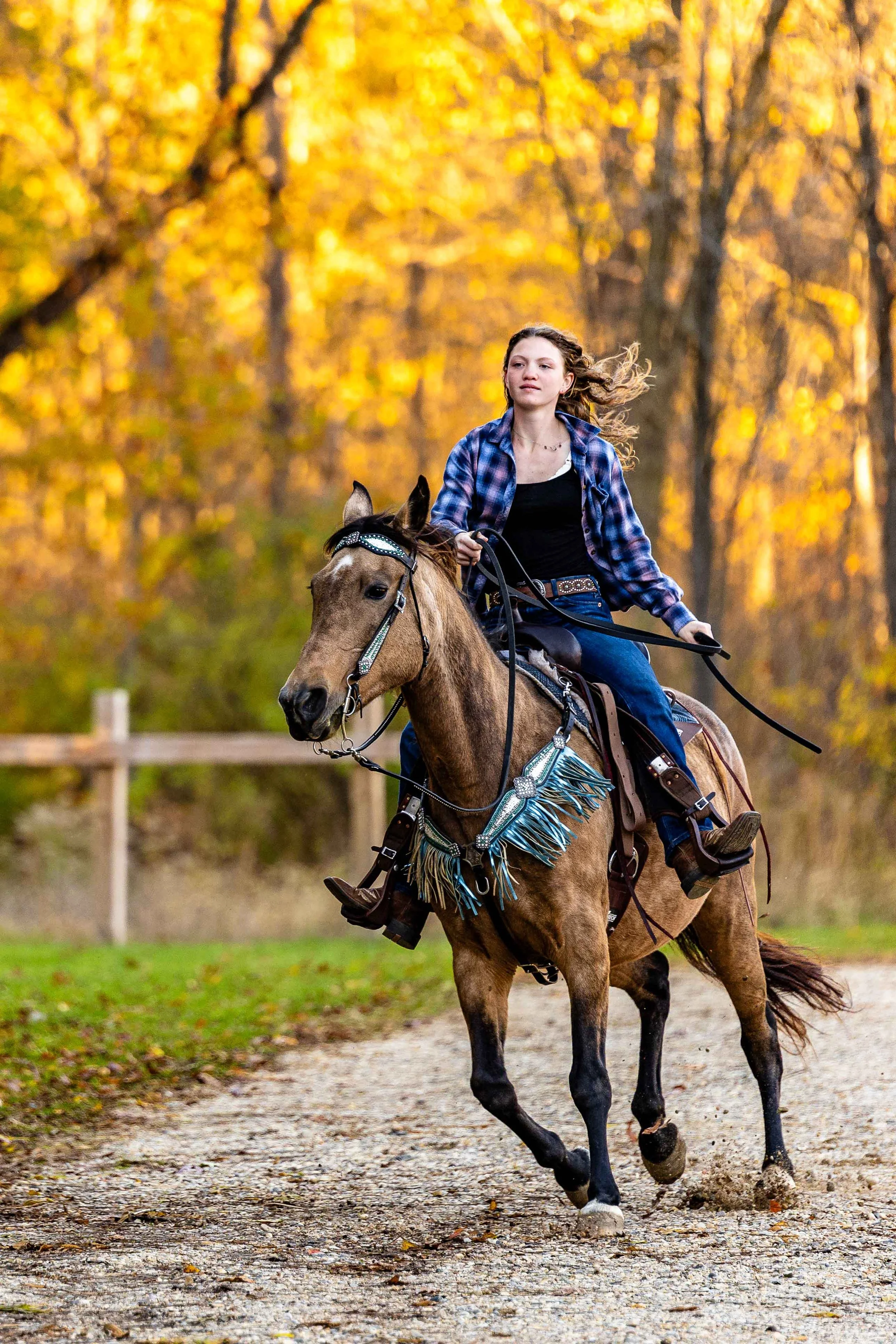 lanahorse-2.jpg