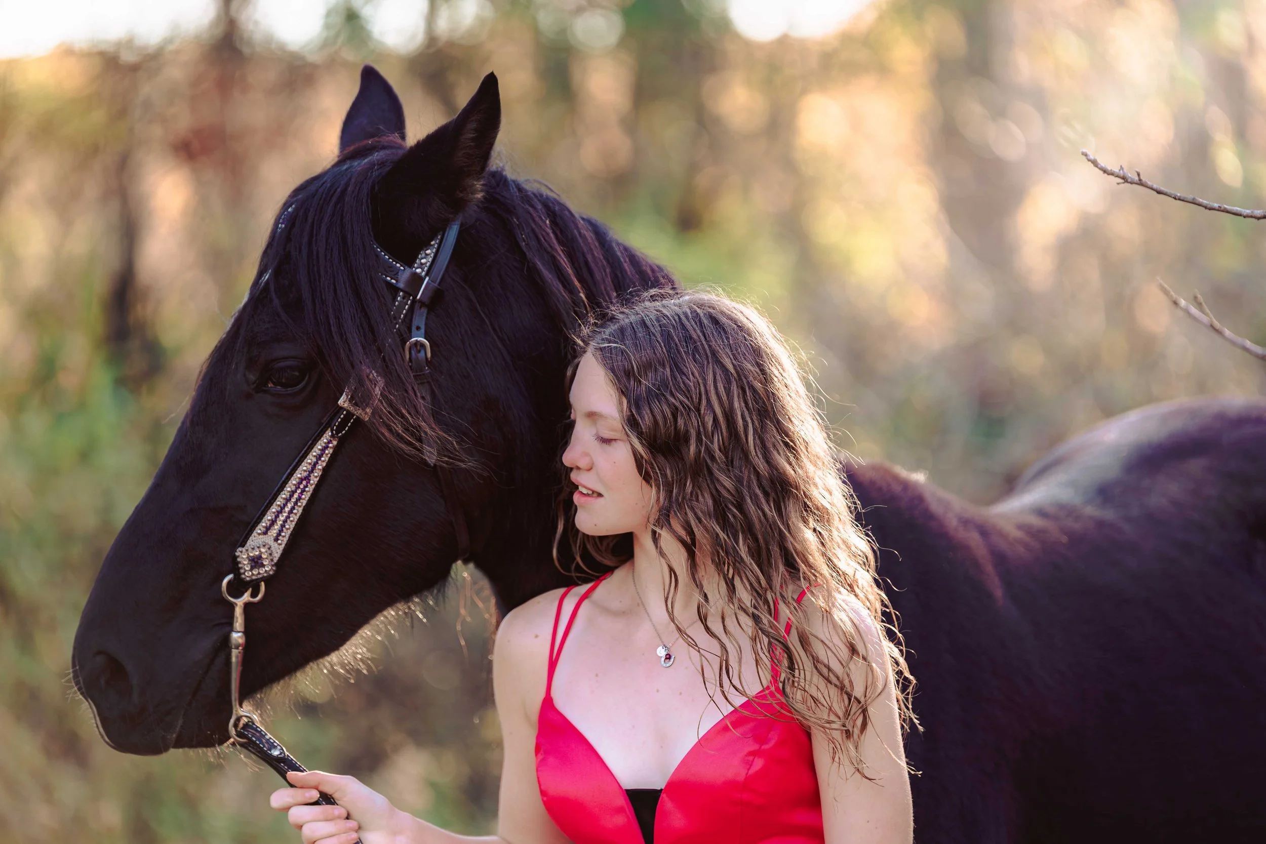 lanahorse-1.jpg