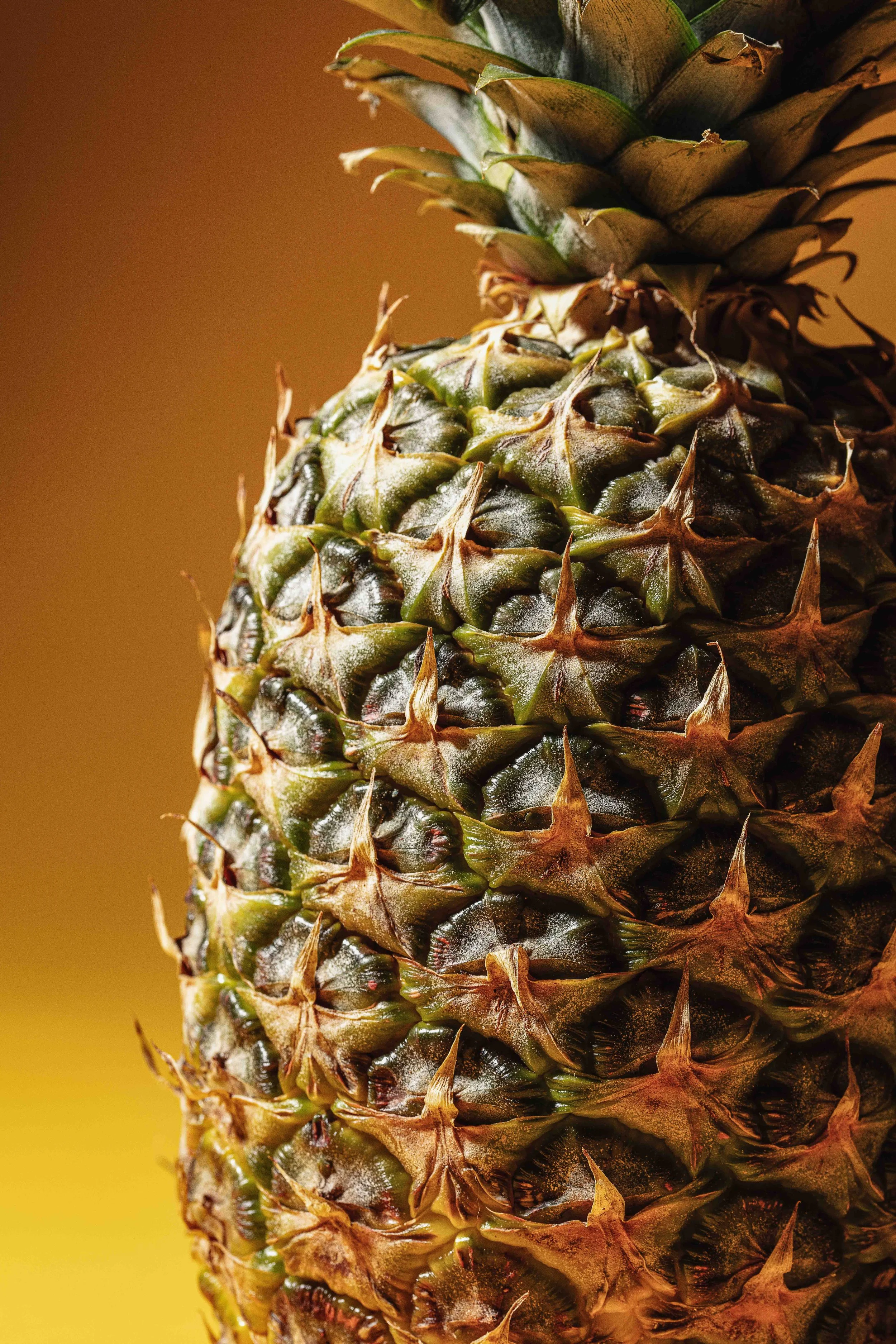 pineapple-1.jpg