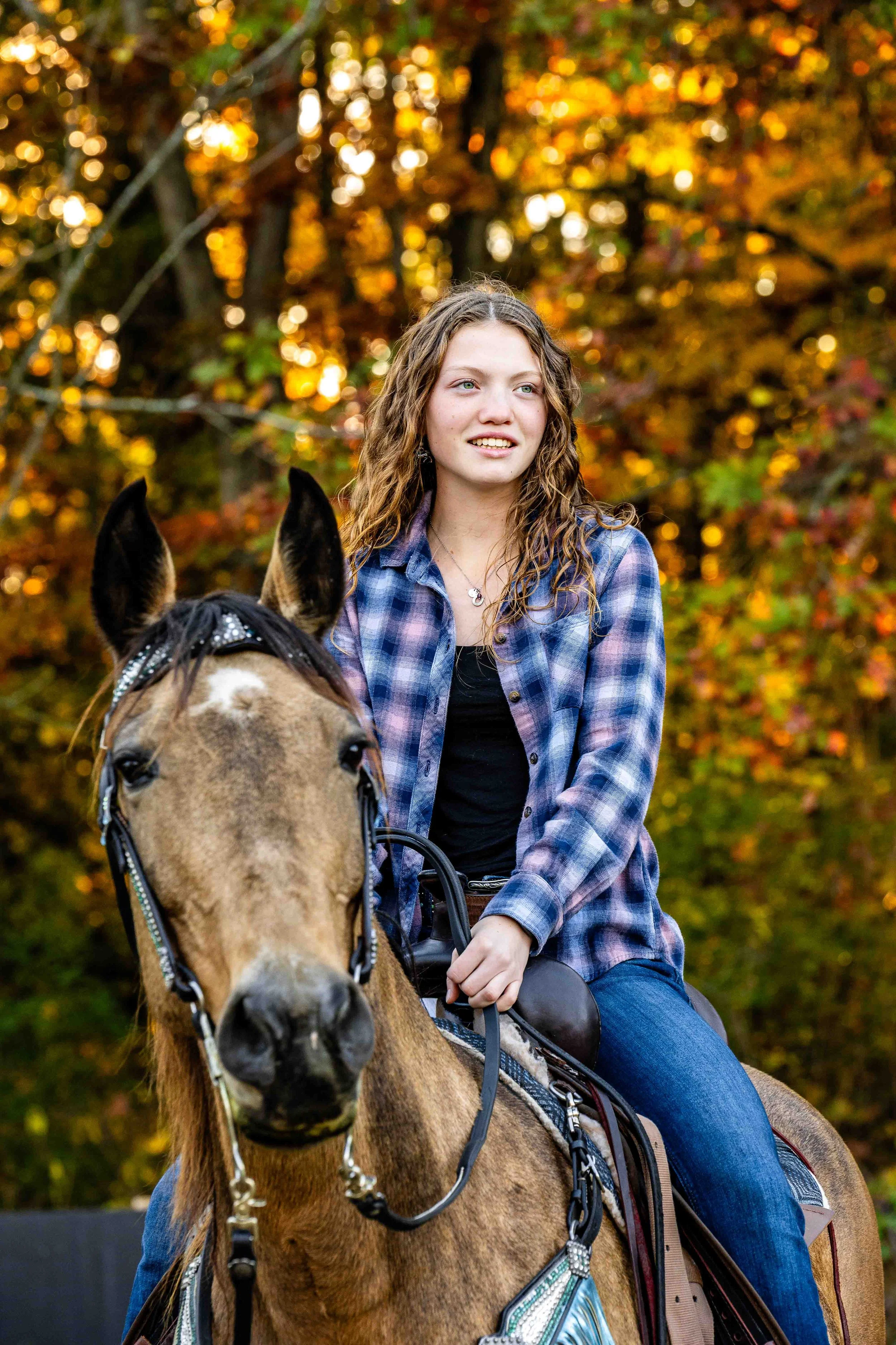 lanahorse-3.jpg