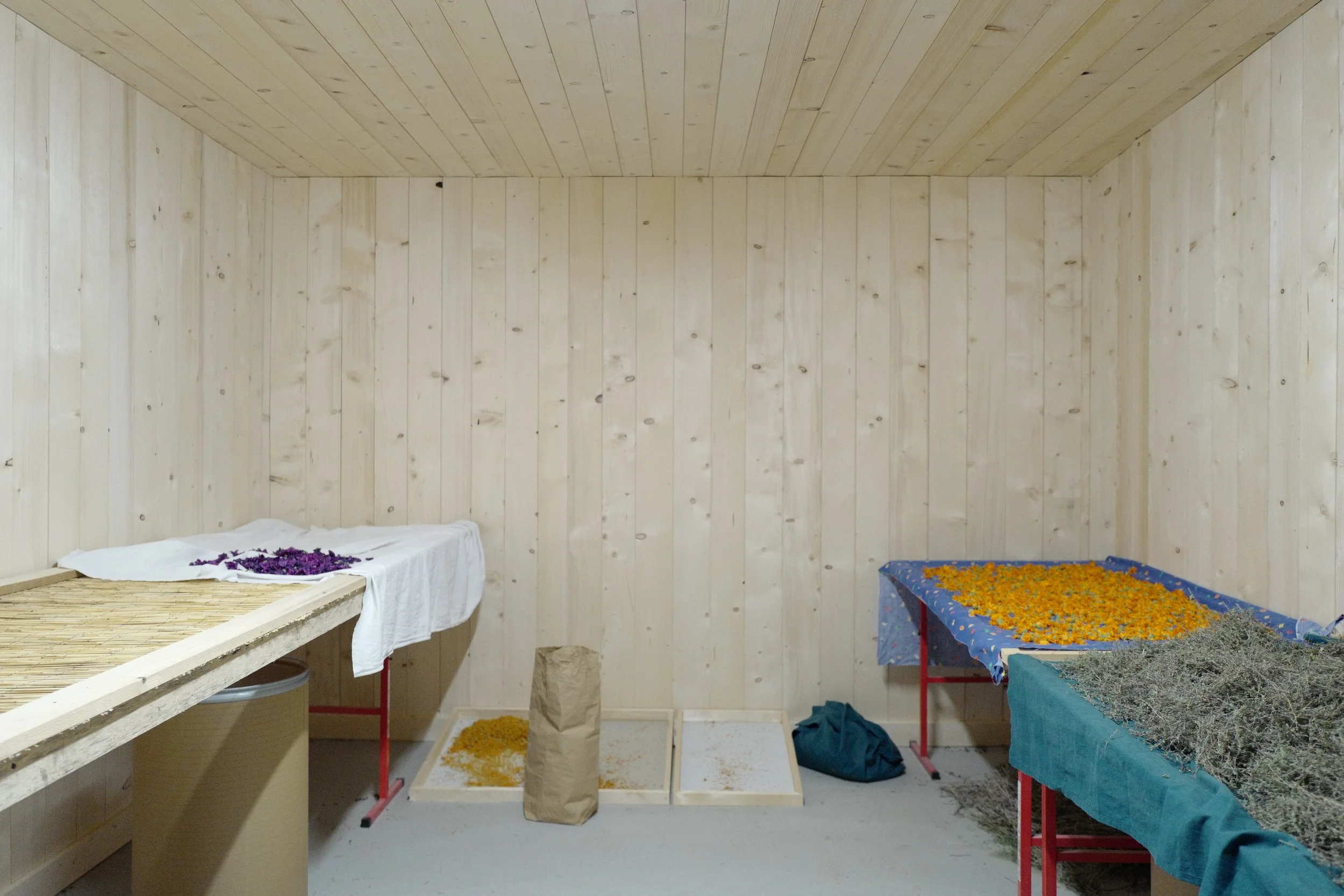 Une pièce avec bardages en bois clair et plusieurs tables recouvertes de tissus, avec des fleurs séchées et des branches plantées dessus. Séchoir à plantes 