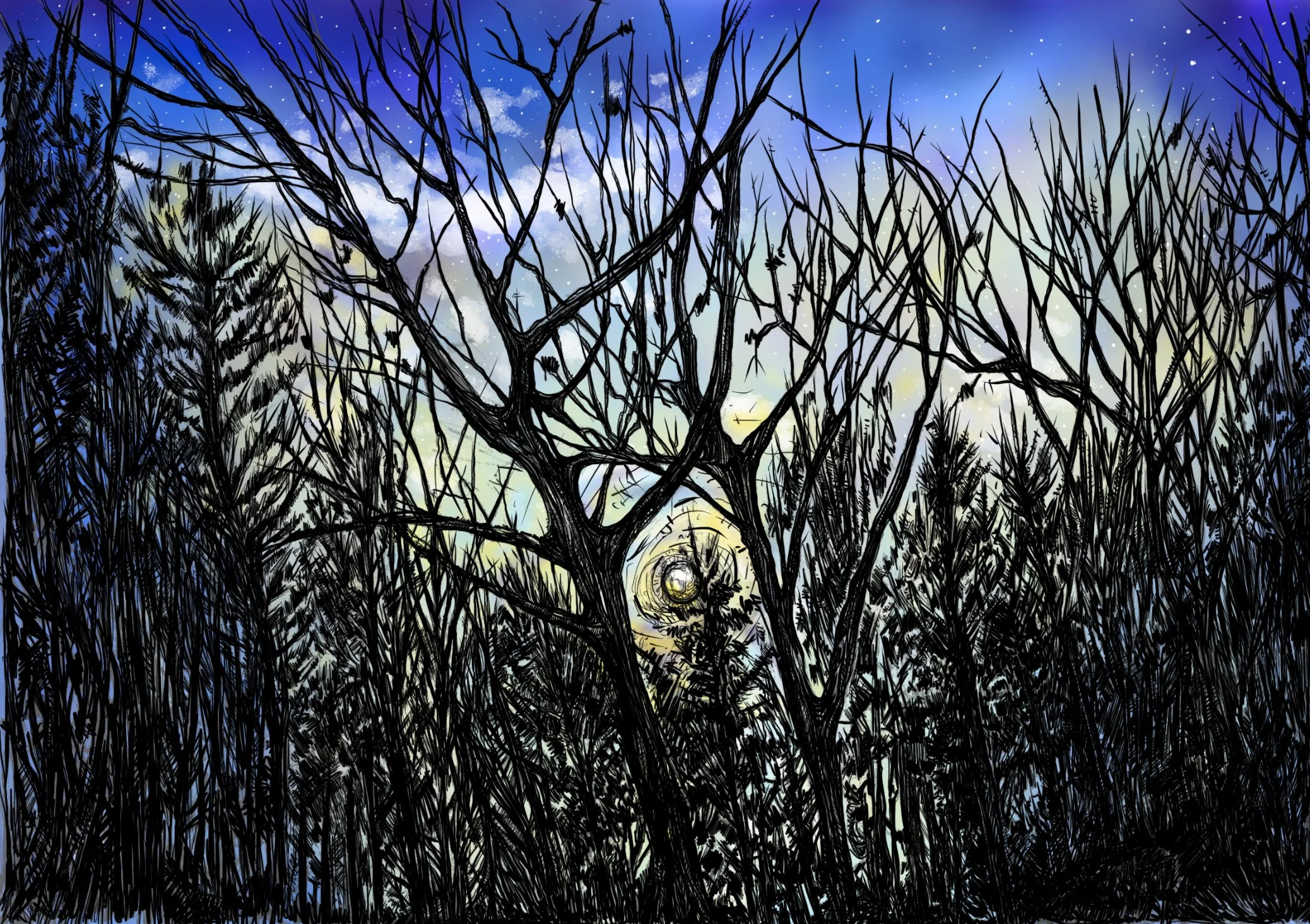 Wellington Lake Night Sky, Colorado