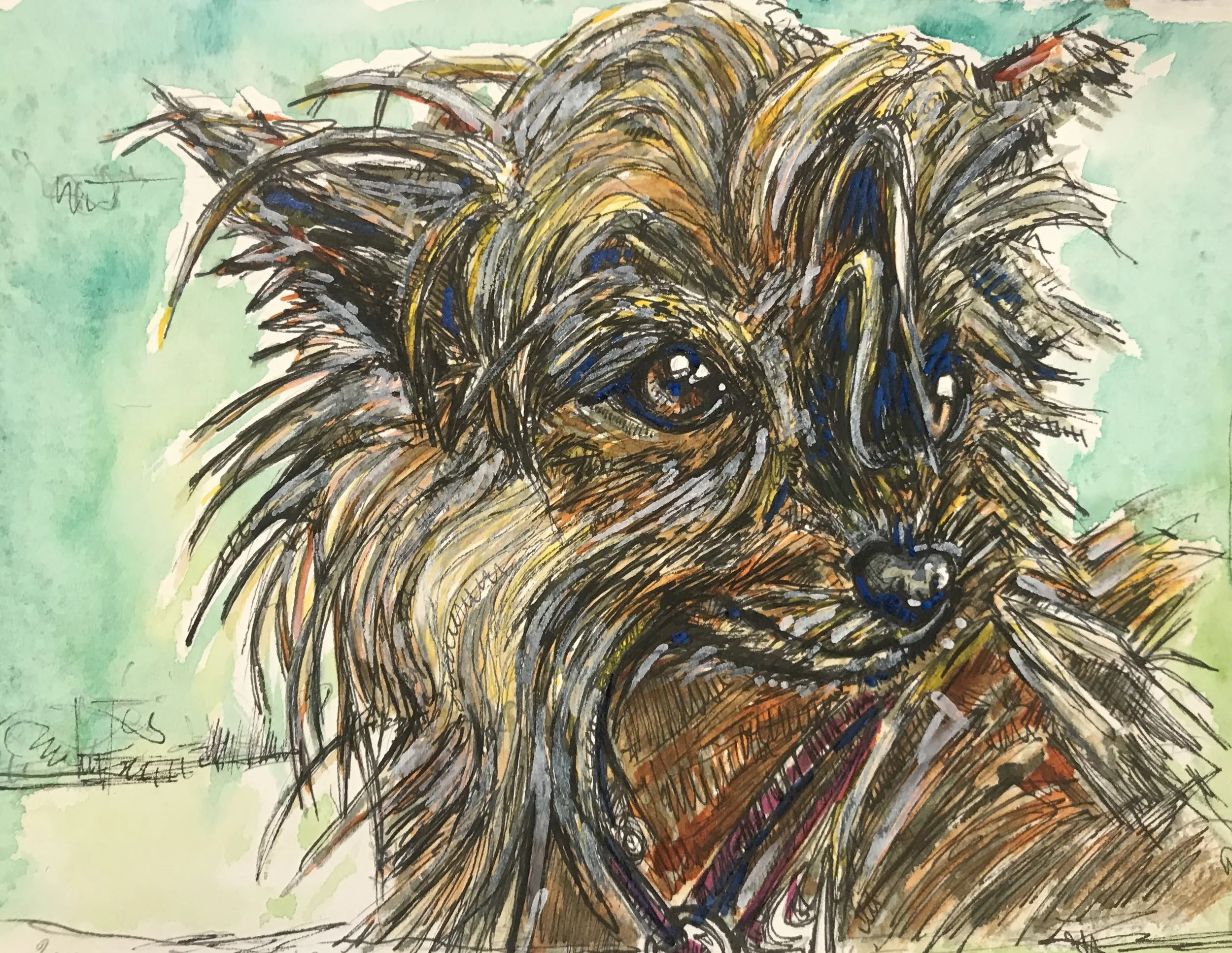 Sue & Bob’s Dogs 6