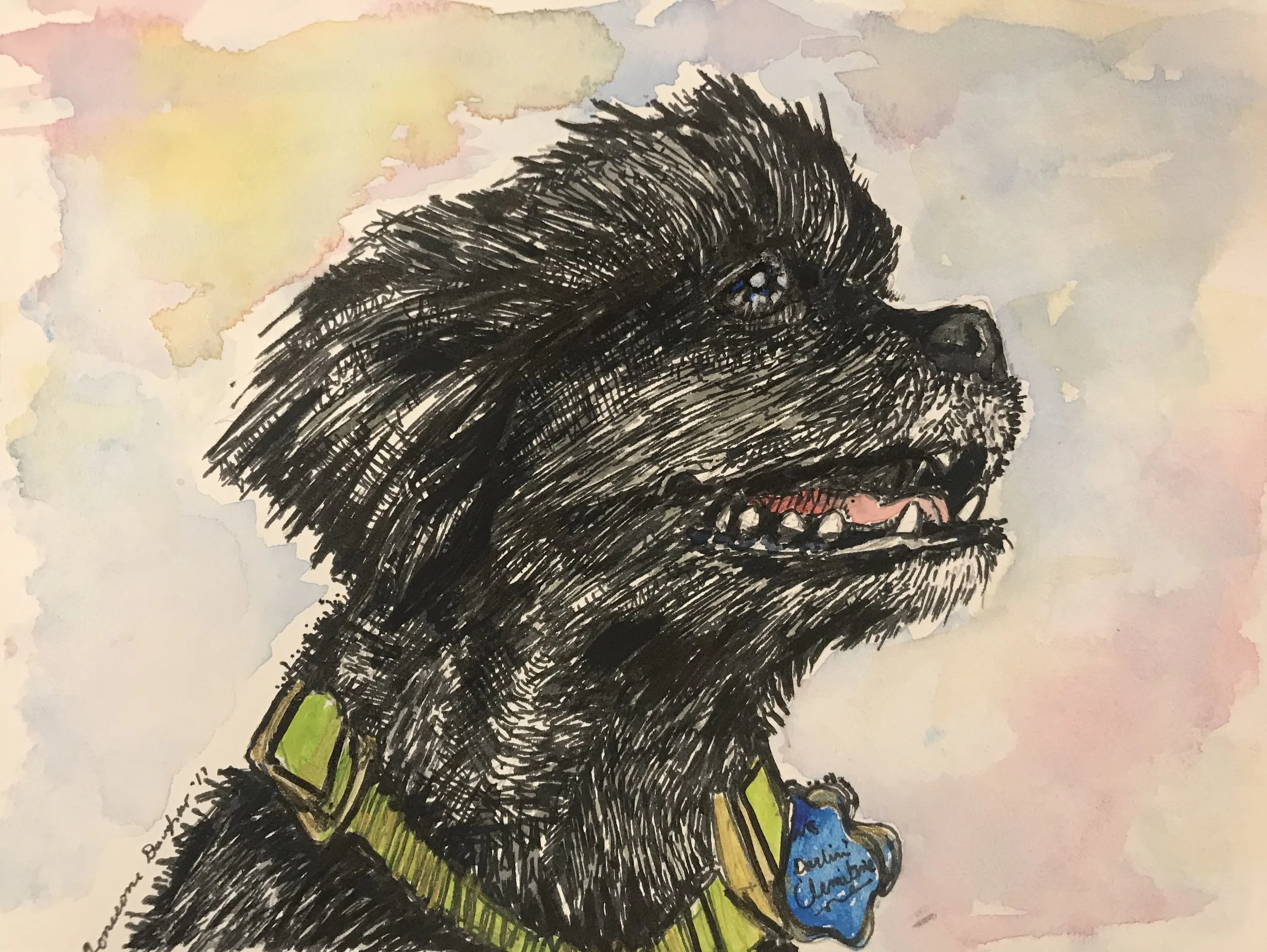 Sue & Barb’s Dogs 5