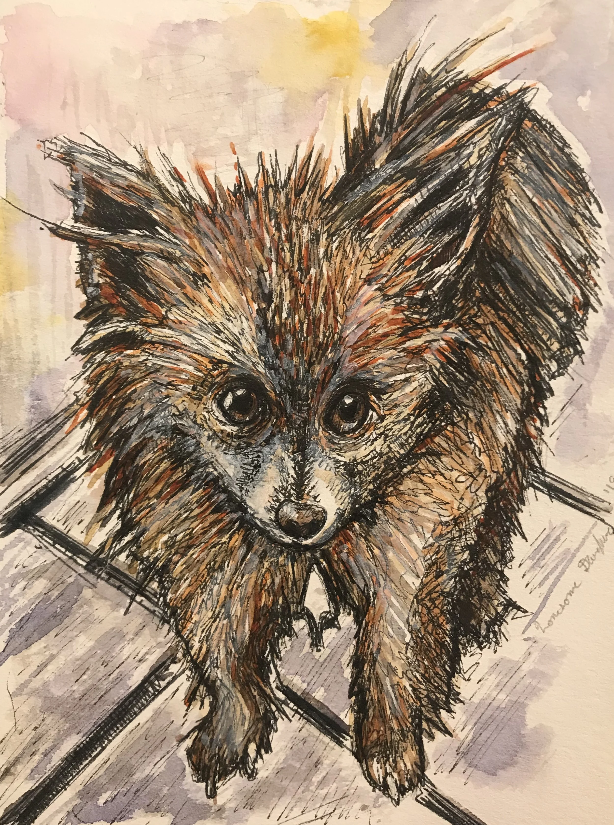 Sue & Barb’s Dogs 2