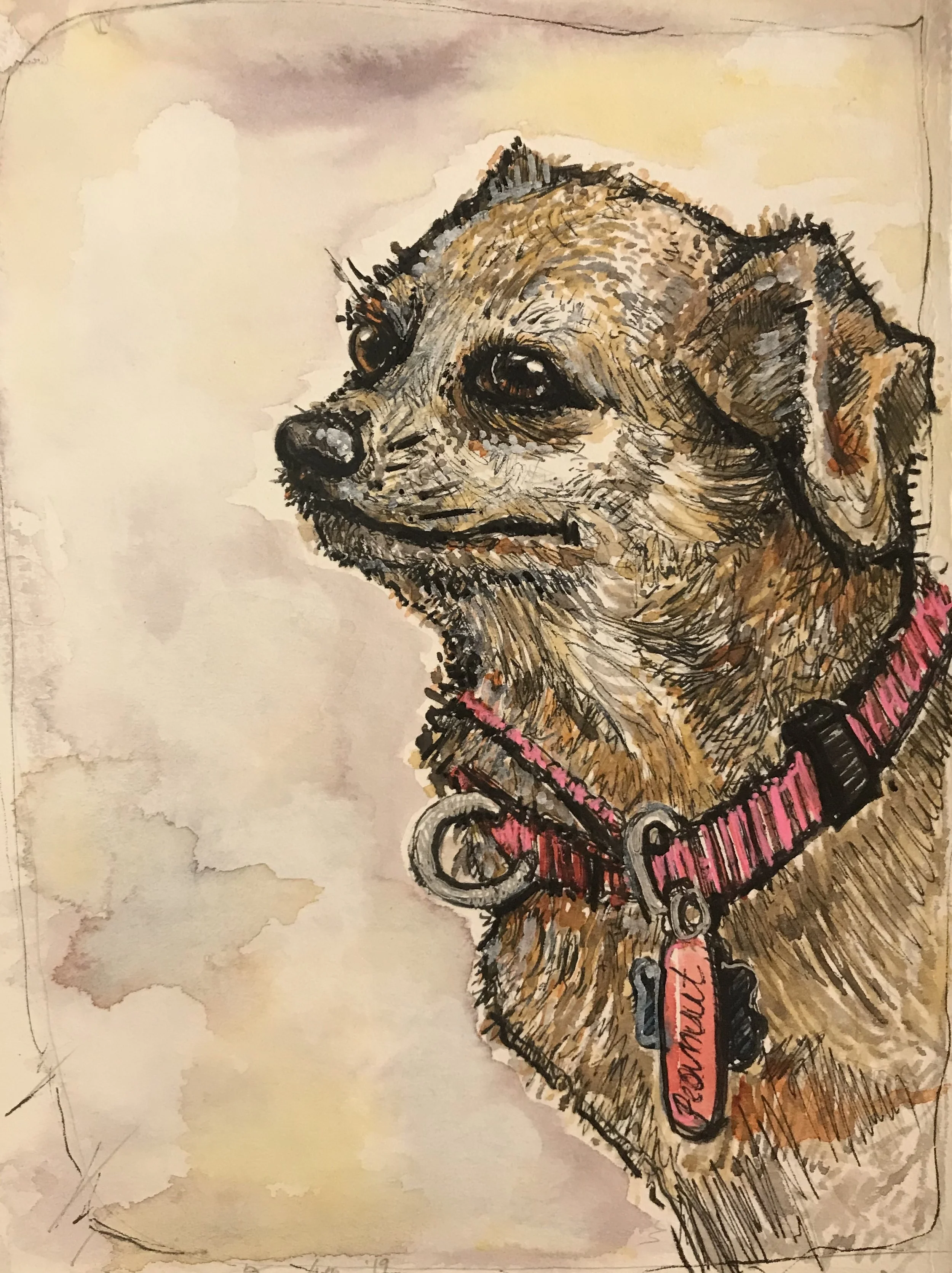 Sue & Barb’s Dogs 11