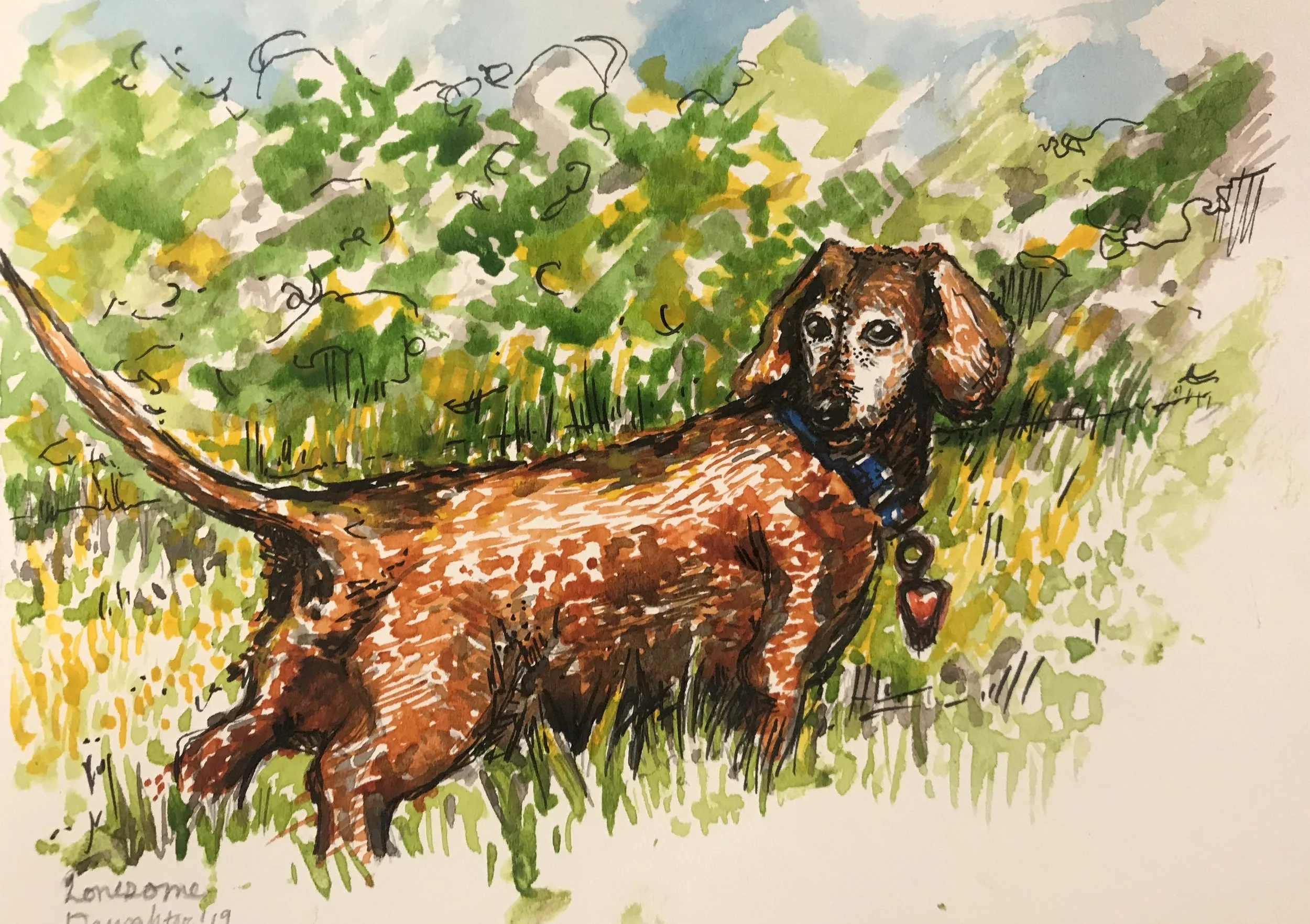 Sue & Barb’s Dogs 3