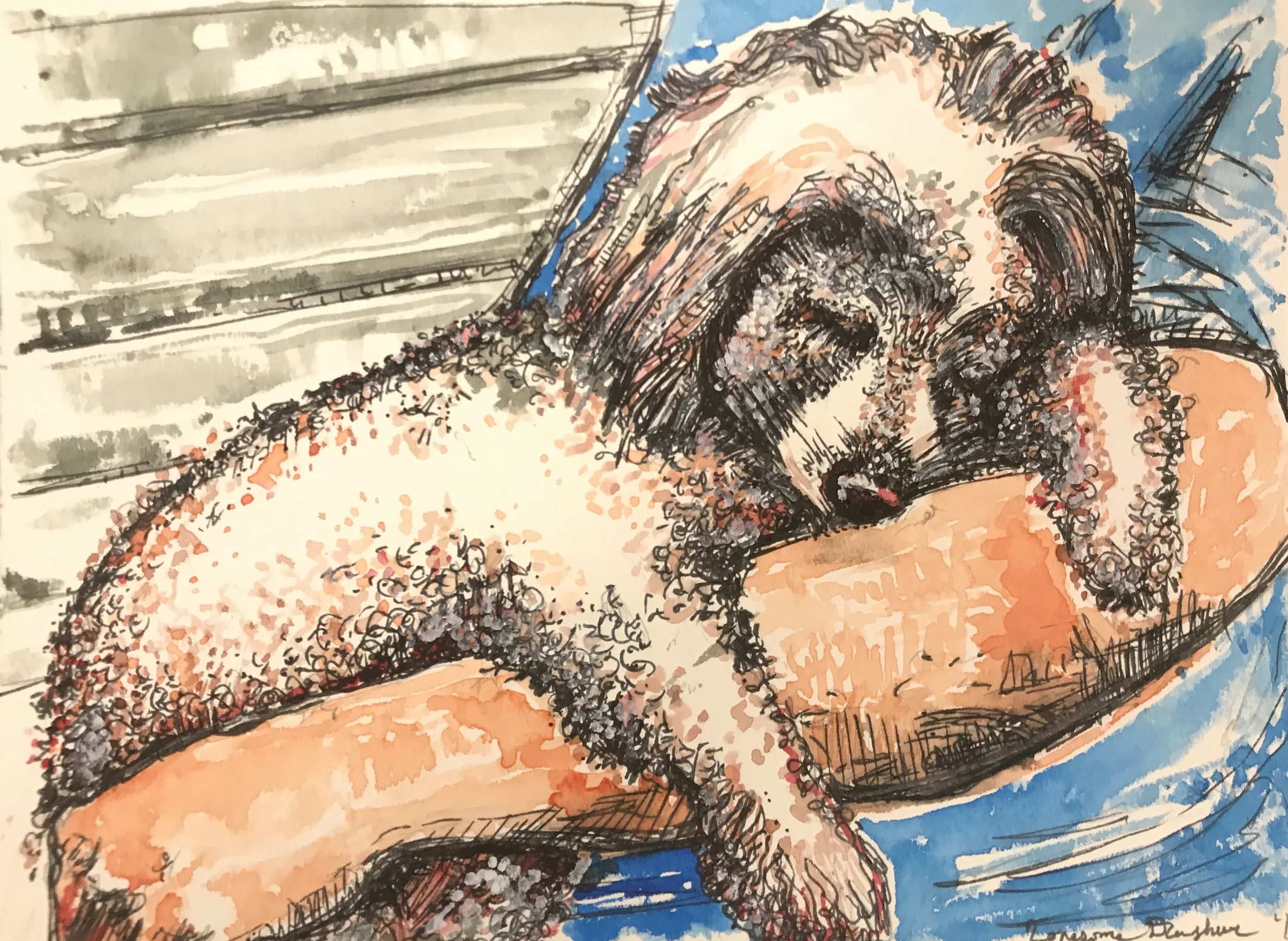 Sue & Barb’s Dogs 4