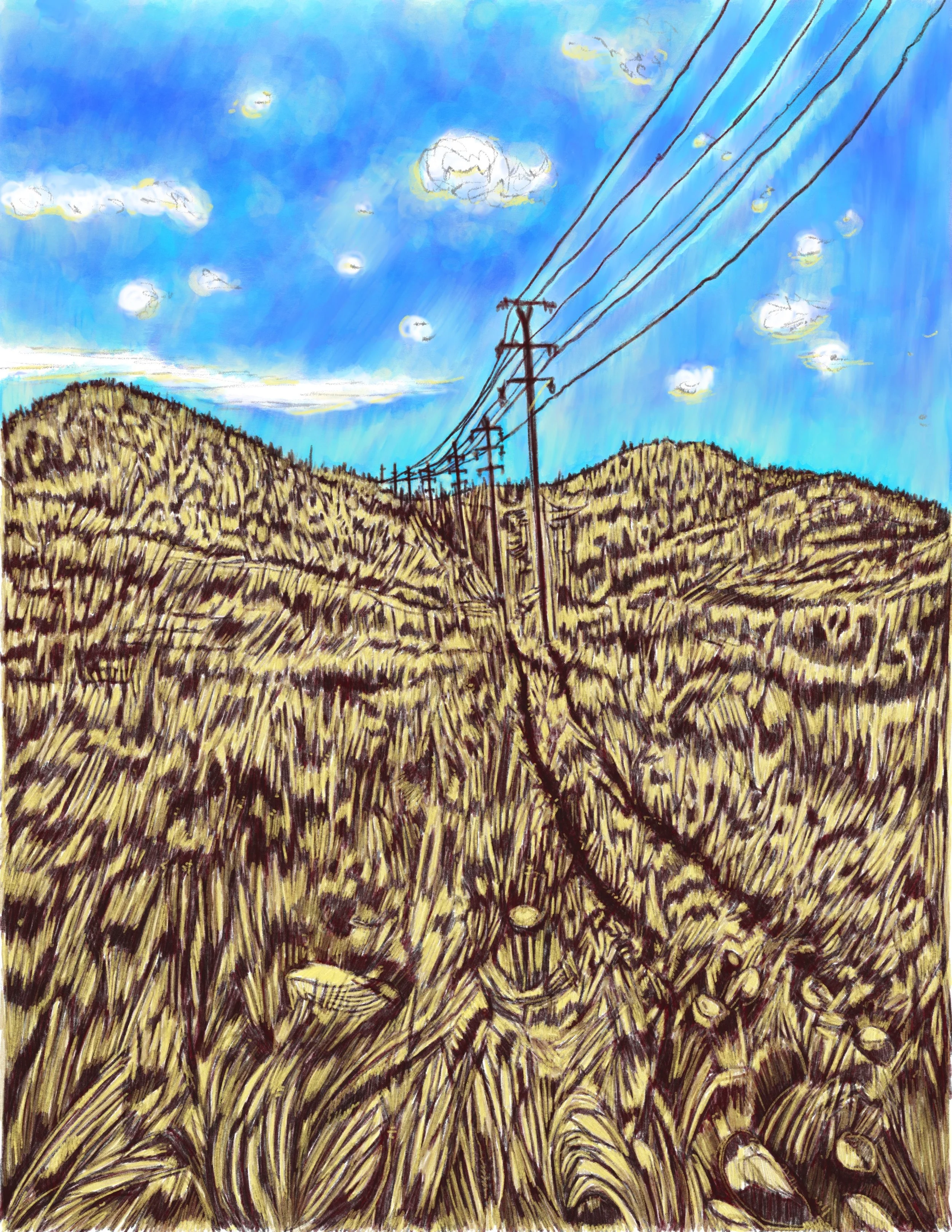 Power Lines