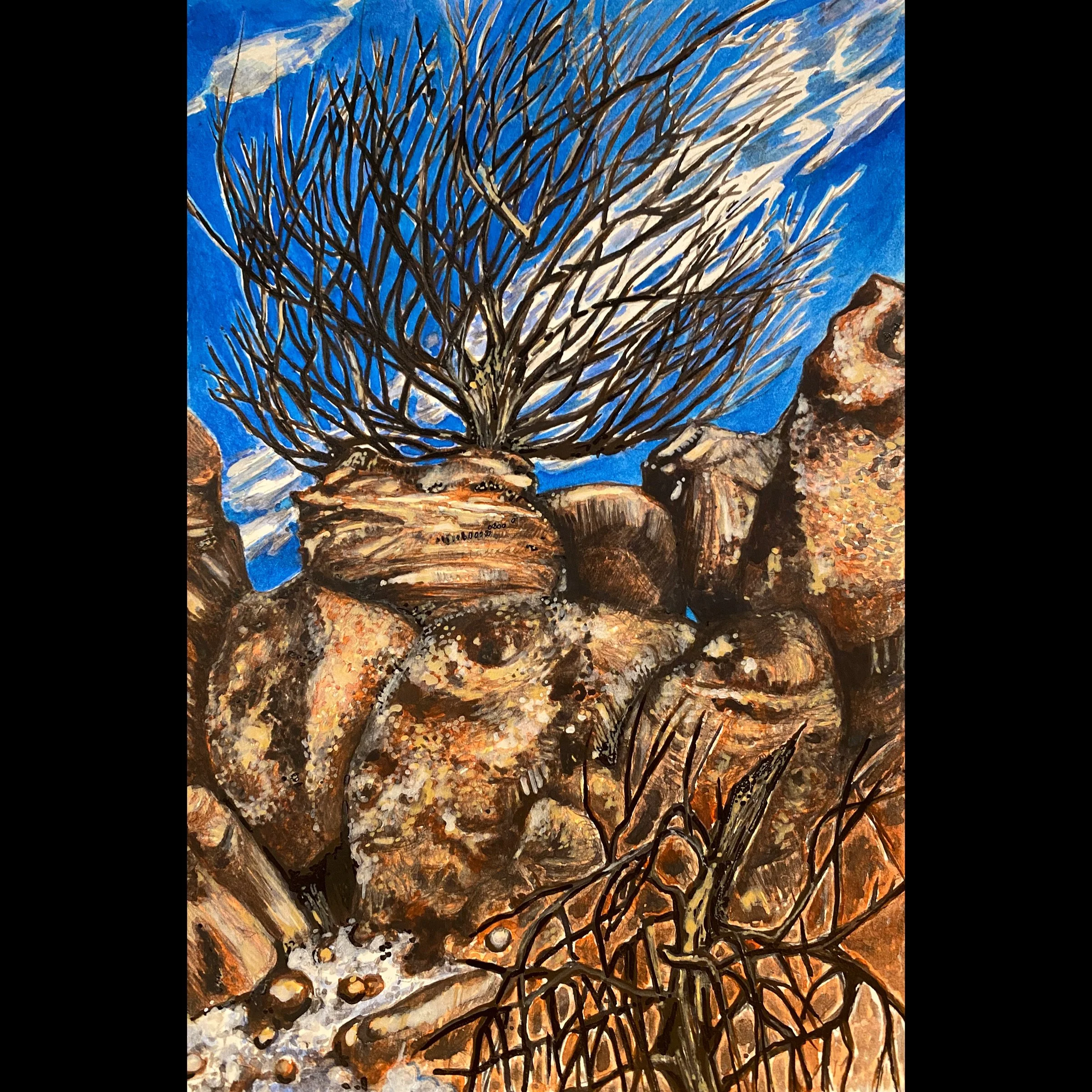 Rocky Mountain National Park