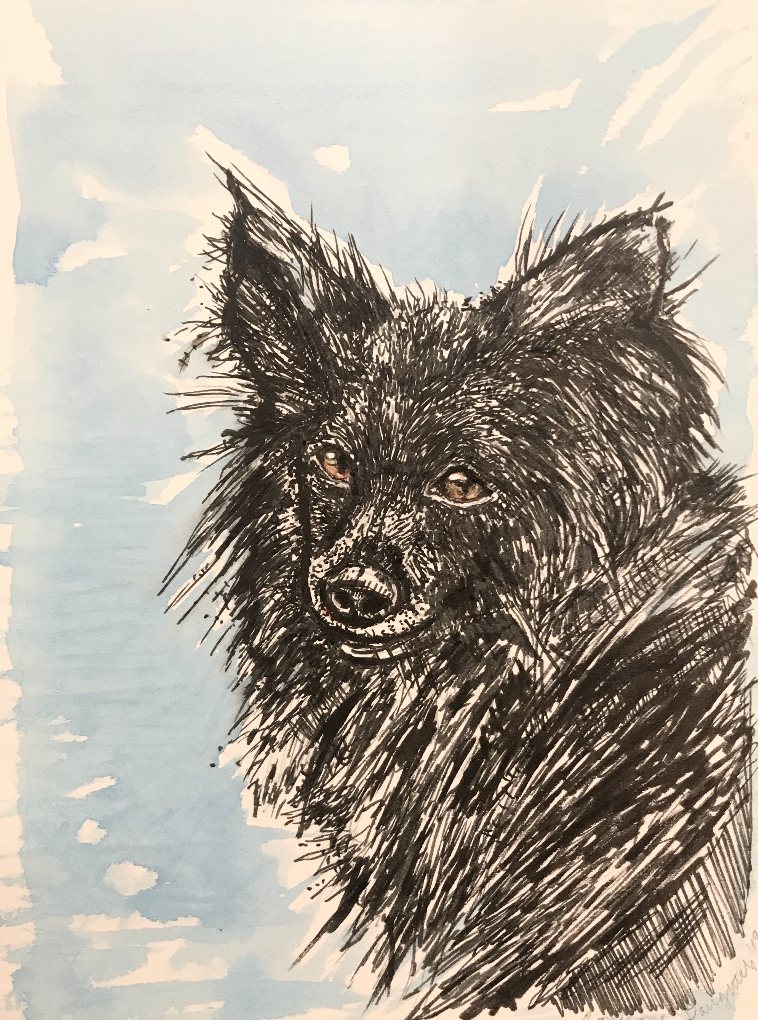 Sue & Barb’s Dogs 8