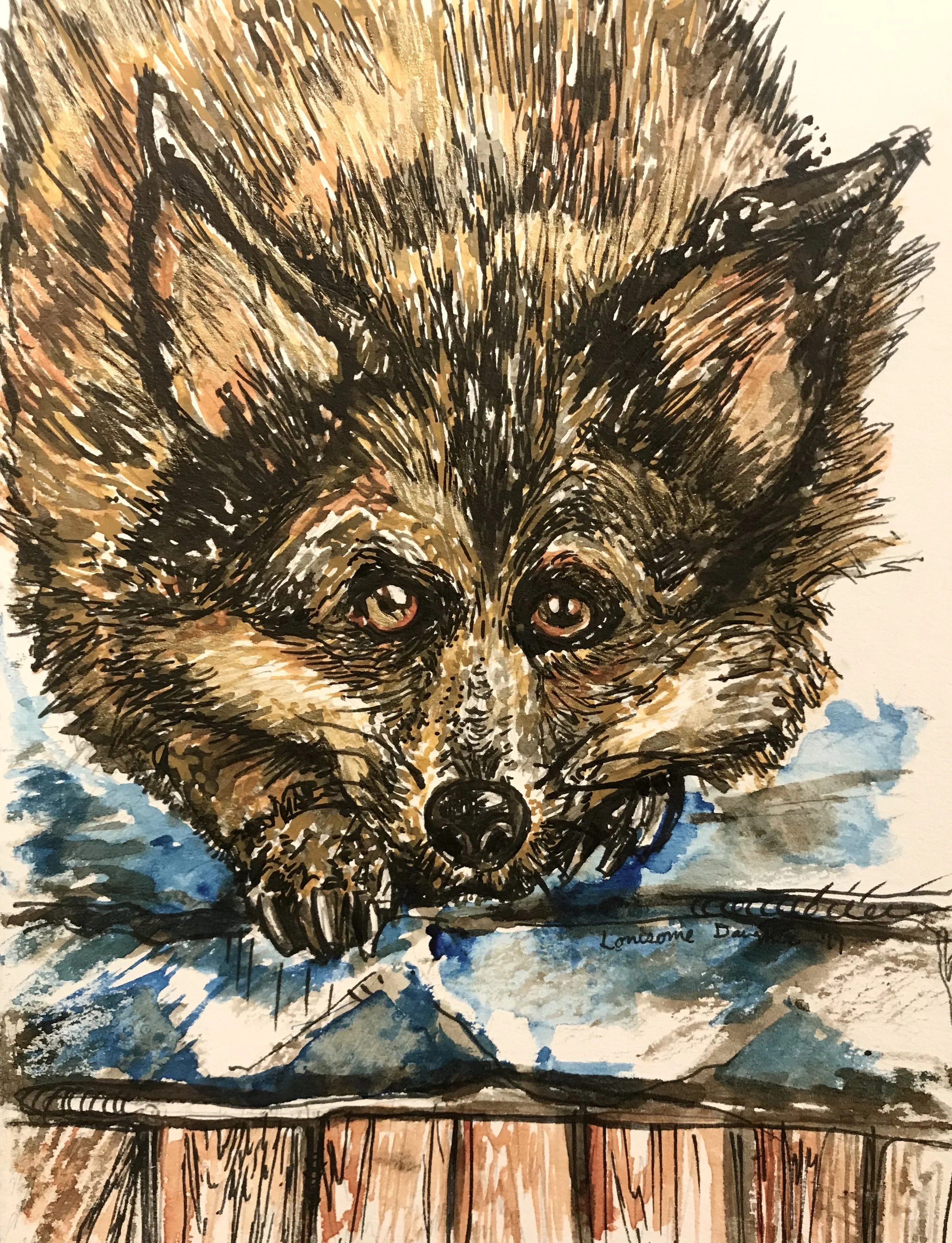 Sue & Barb’s Dogs 9