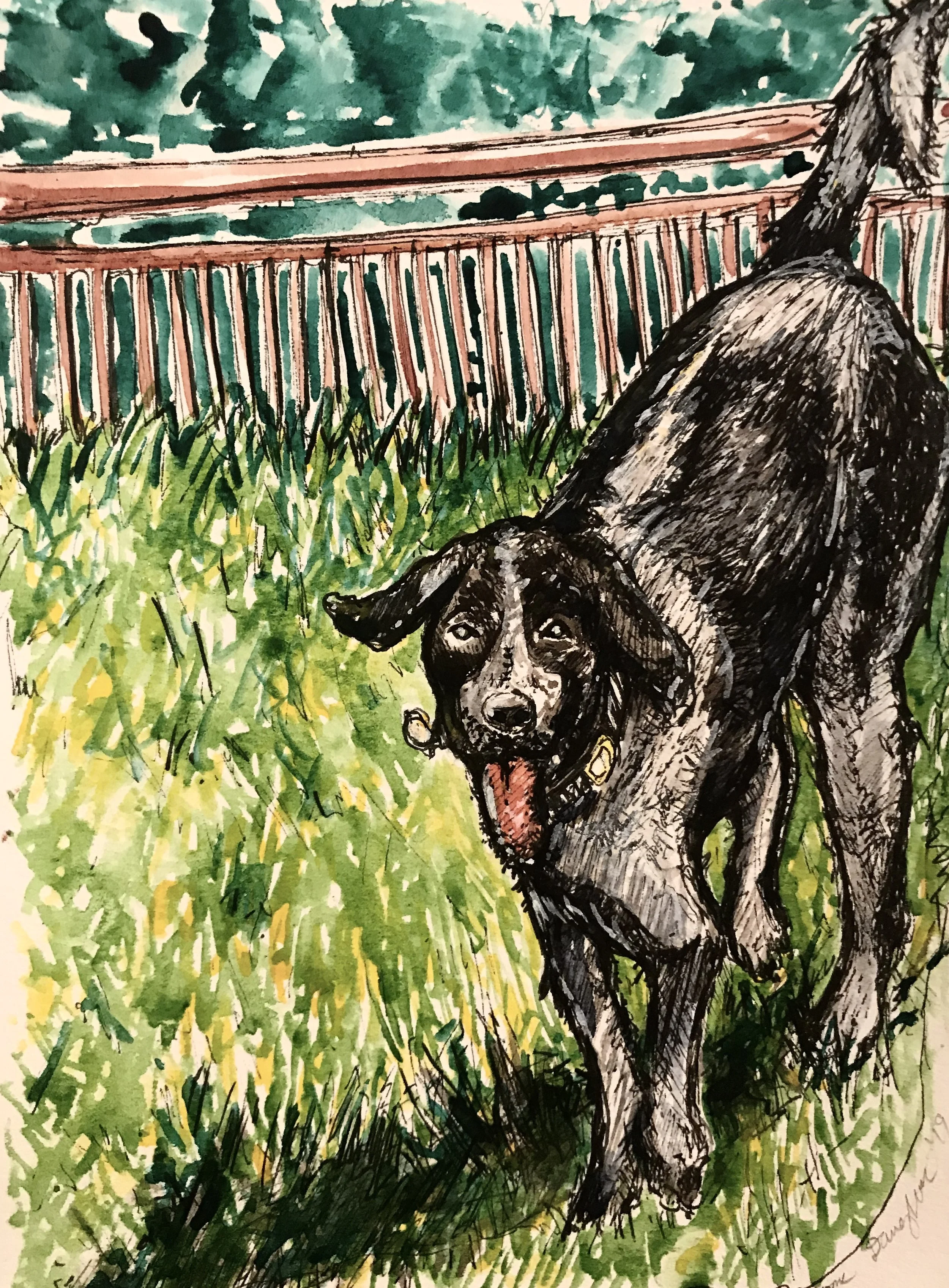 Sue & Barb’s Dogs 13