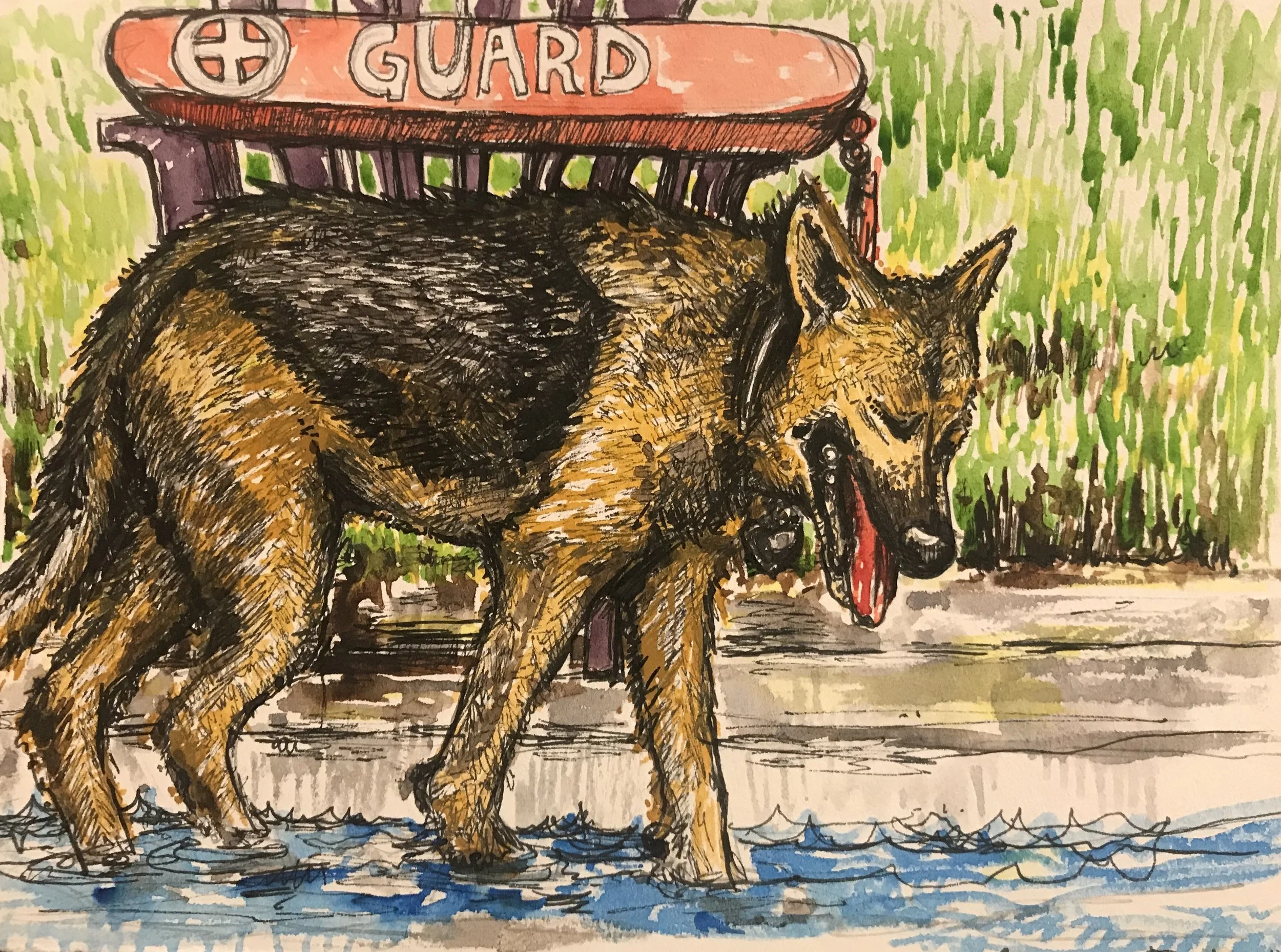 Sue & Barb’s Dogs 1