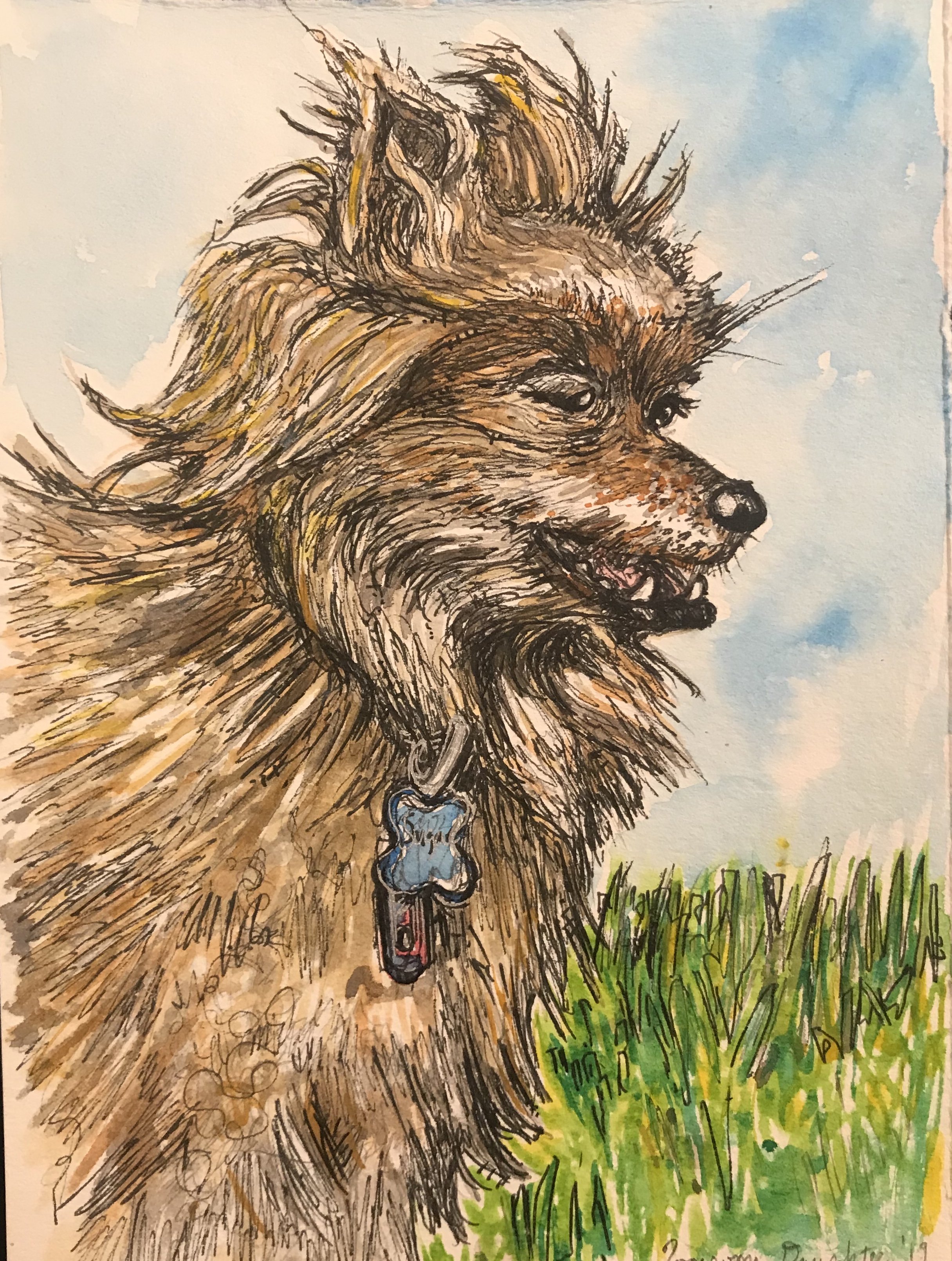 Sue & Barb’s Dogs 12